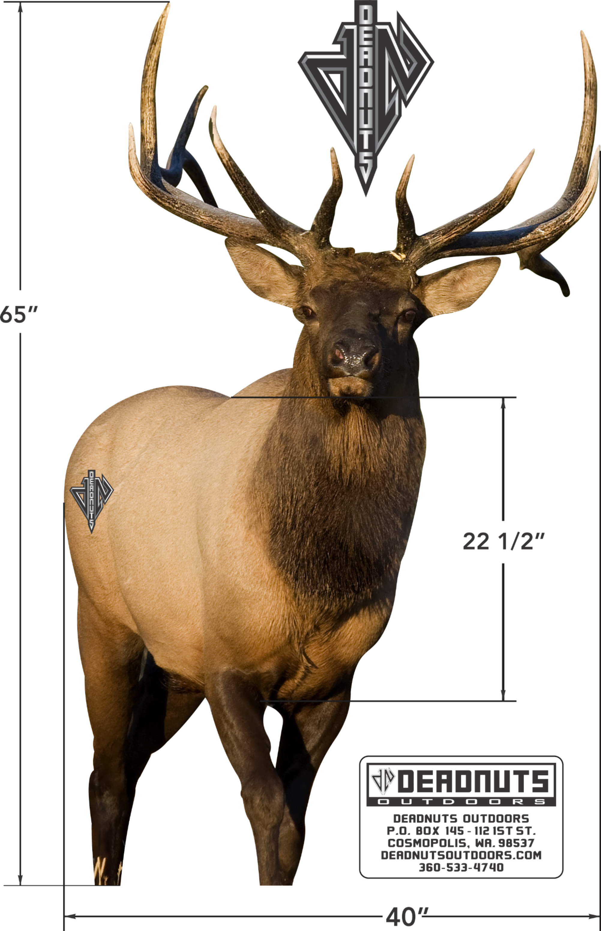 2D Bull Elk Frontal Target