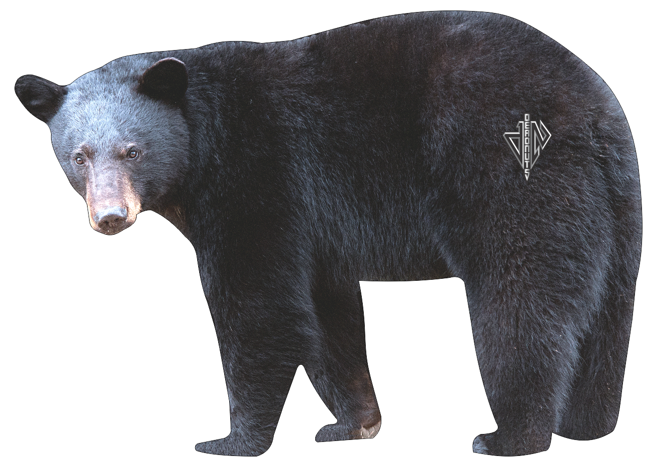 2D Black Bear Broadside Target