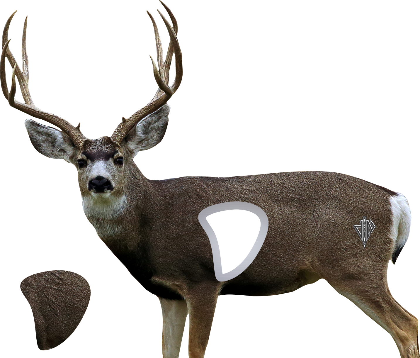 2D Mule Deer Broadside Target