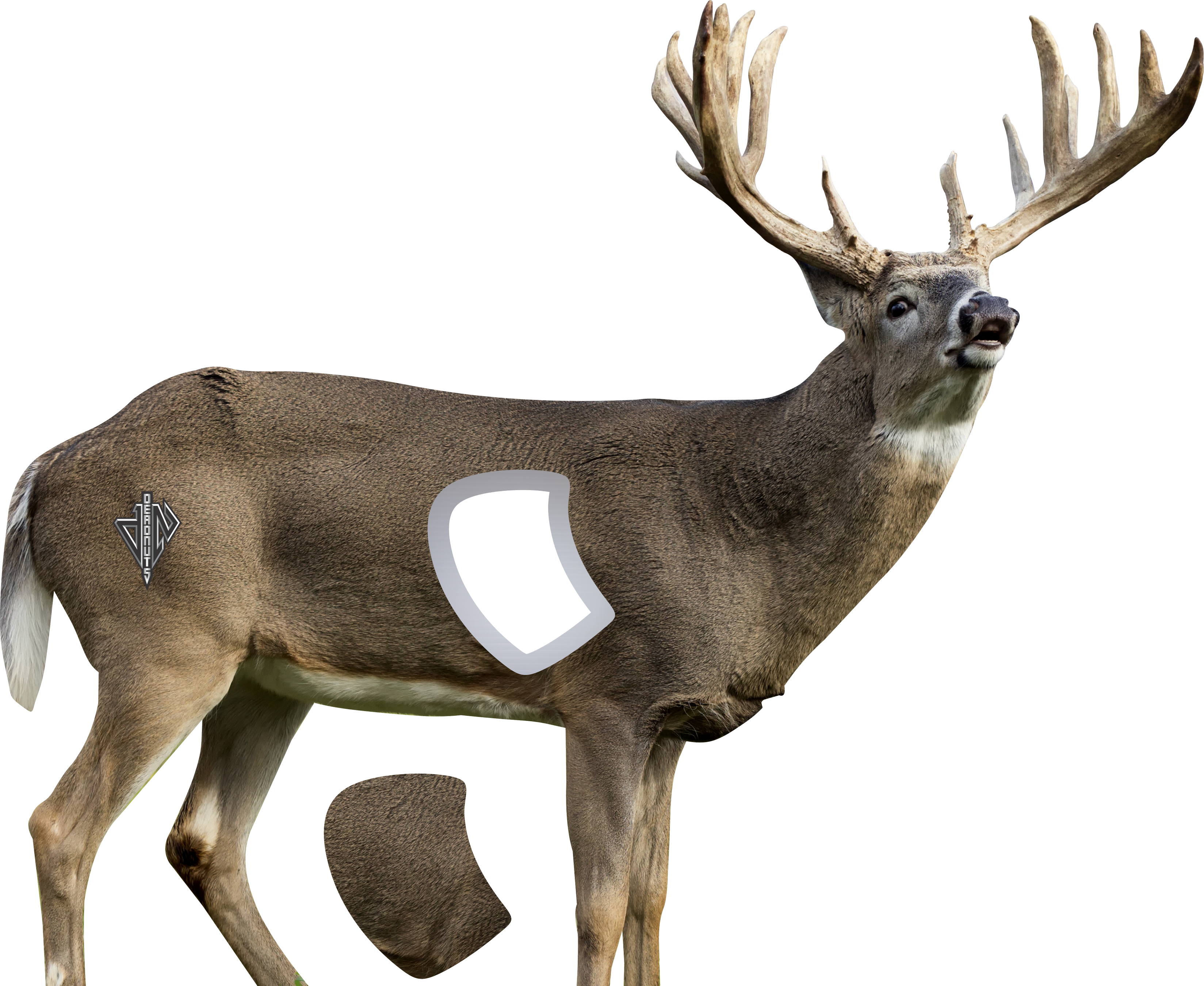 2D Whitetail Broadside Target