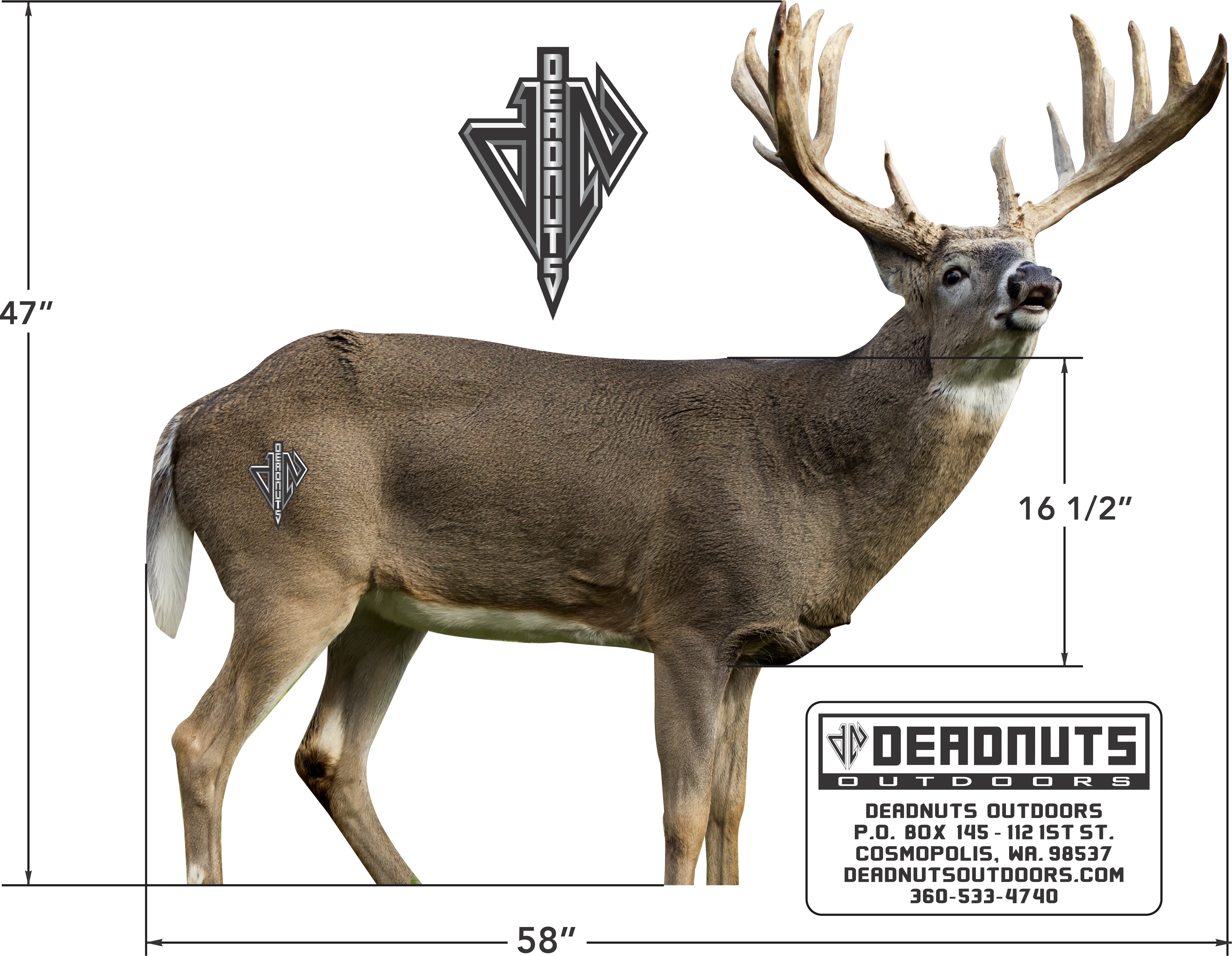 2D Whitetail Broadside Target