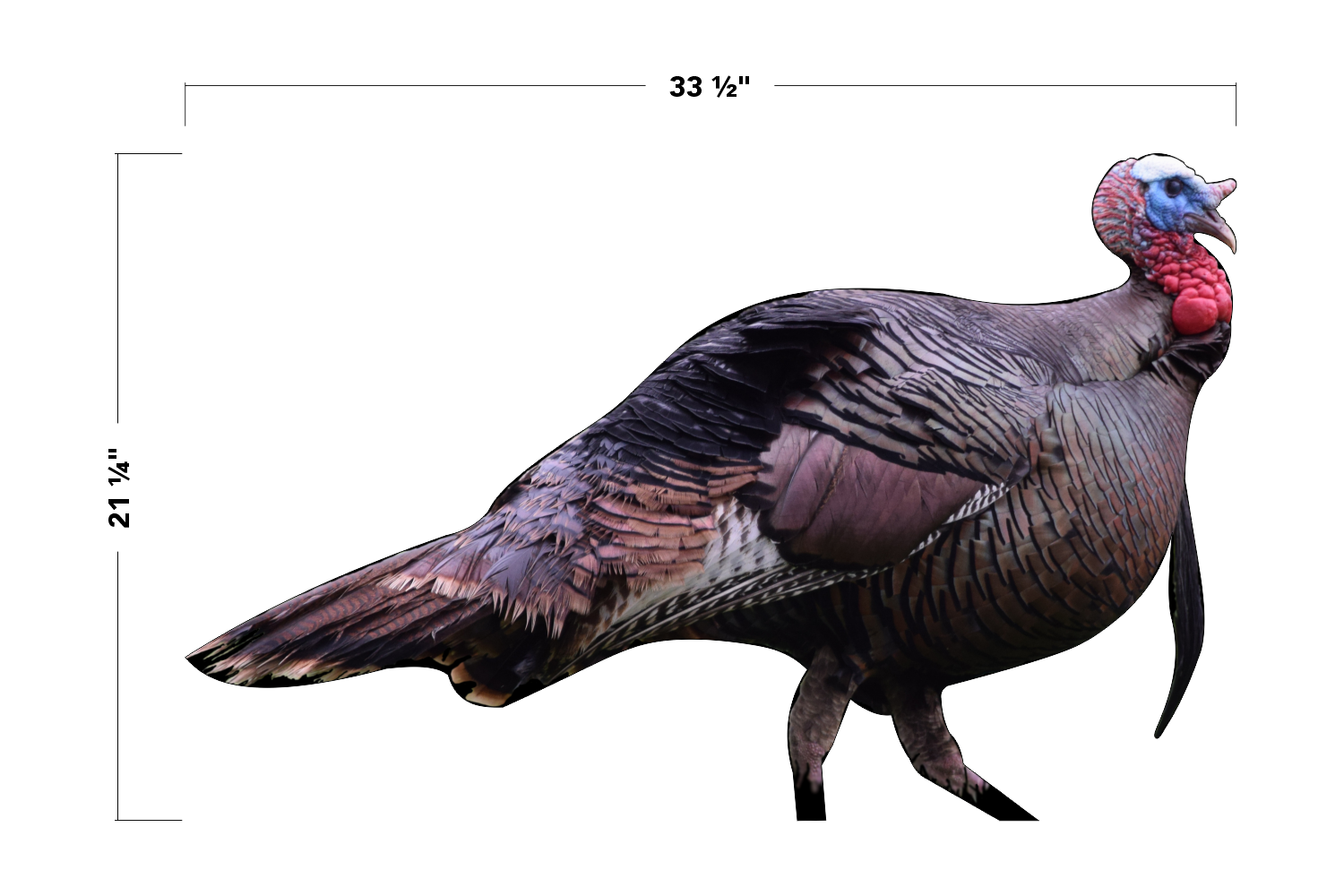 2D Tom Turkey Broadside Target