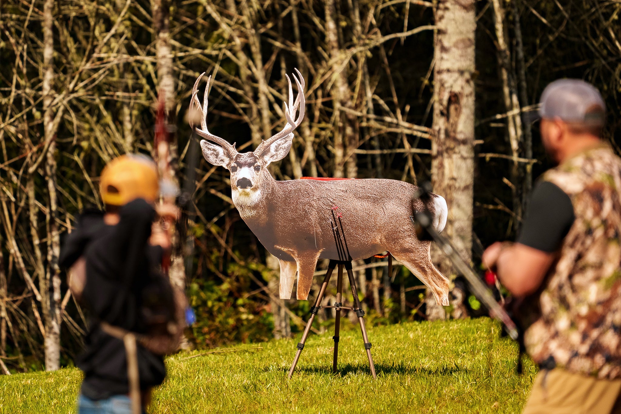 Recommend a 3D Deer Target? | Rokslide Forum