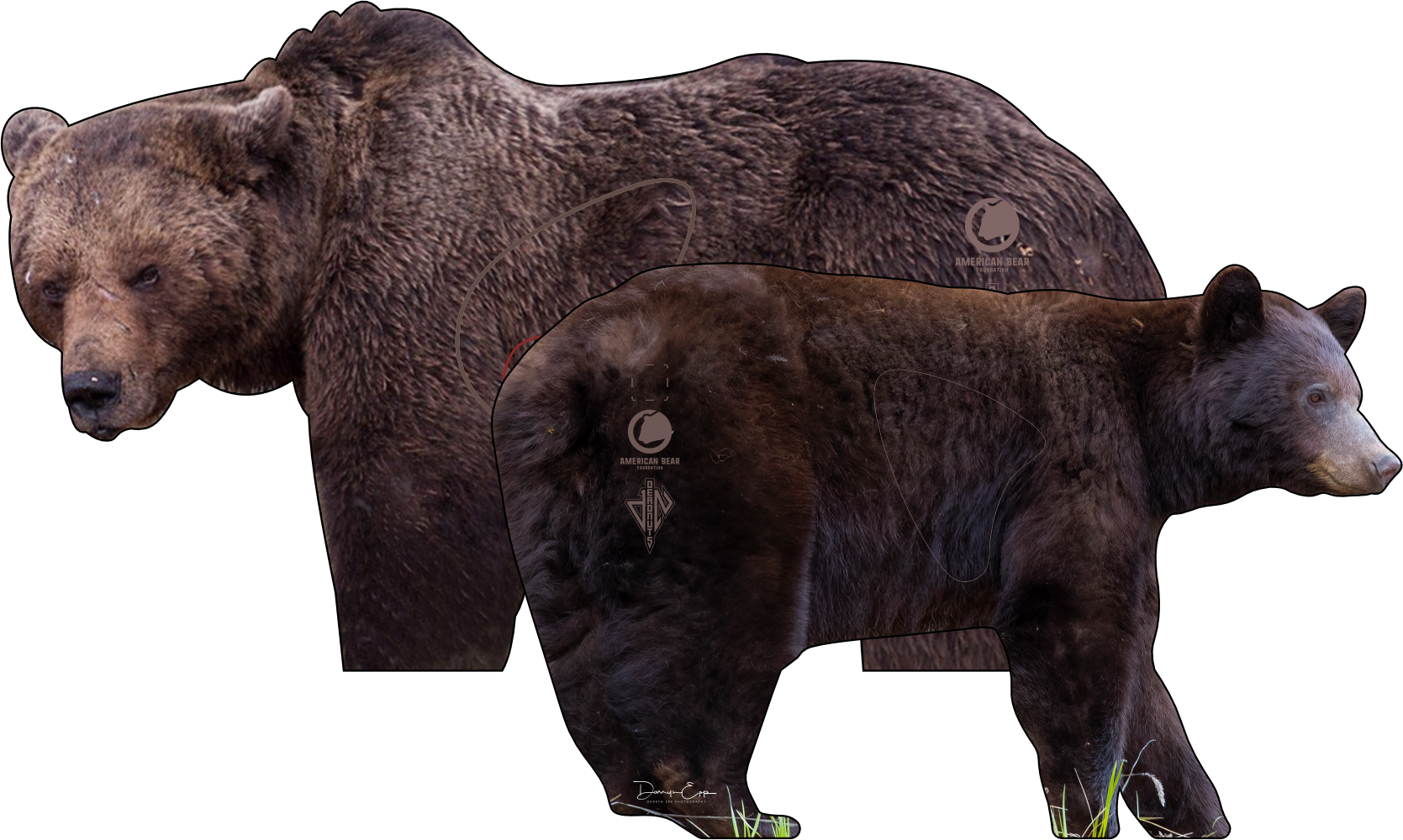 American Bear Foundation Combo Tag