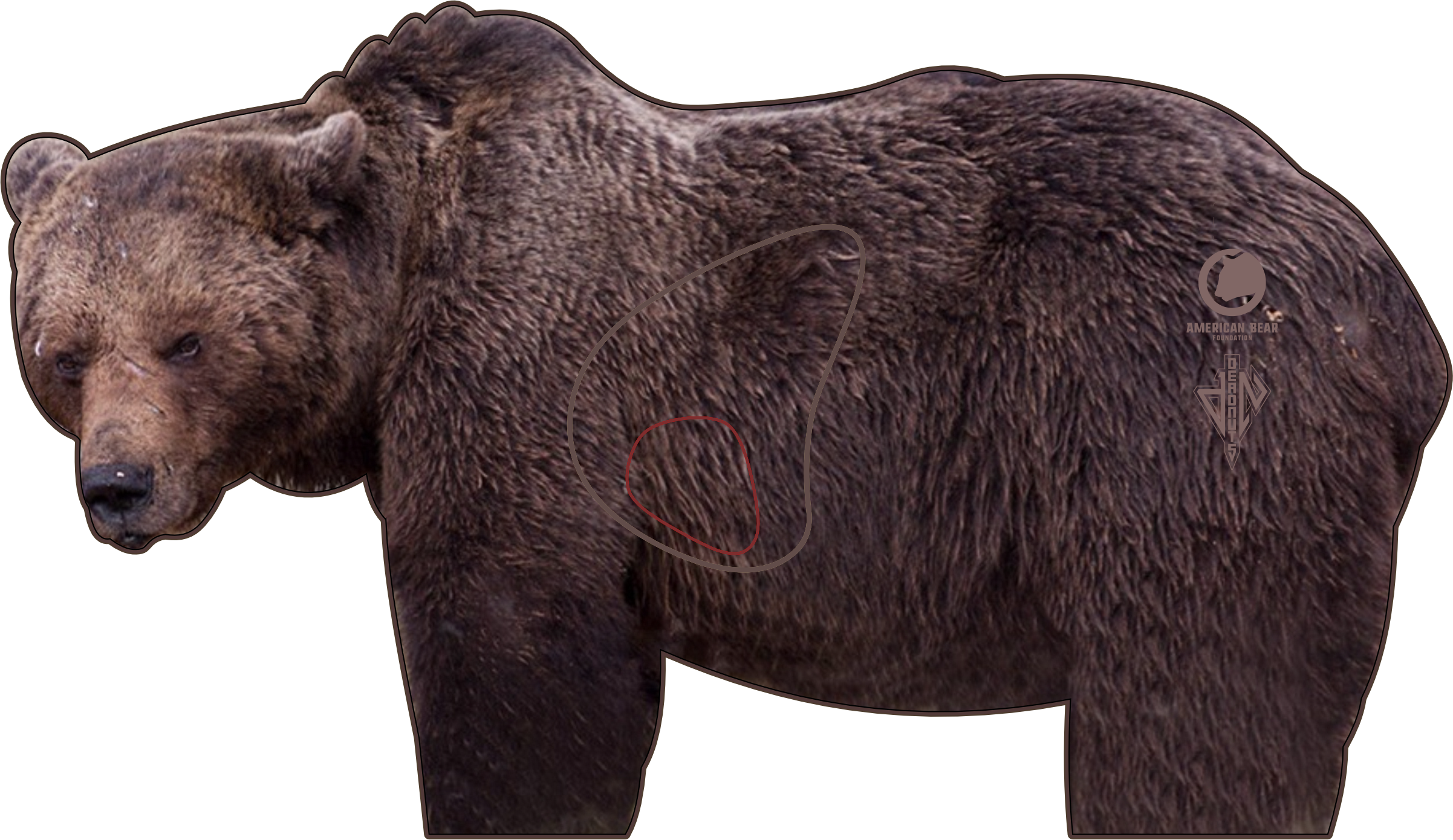 American Bear Foundation Conservation Series 2D Grizzly Bear Target