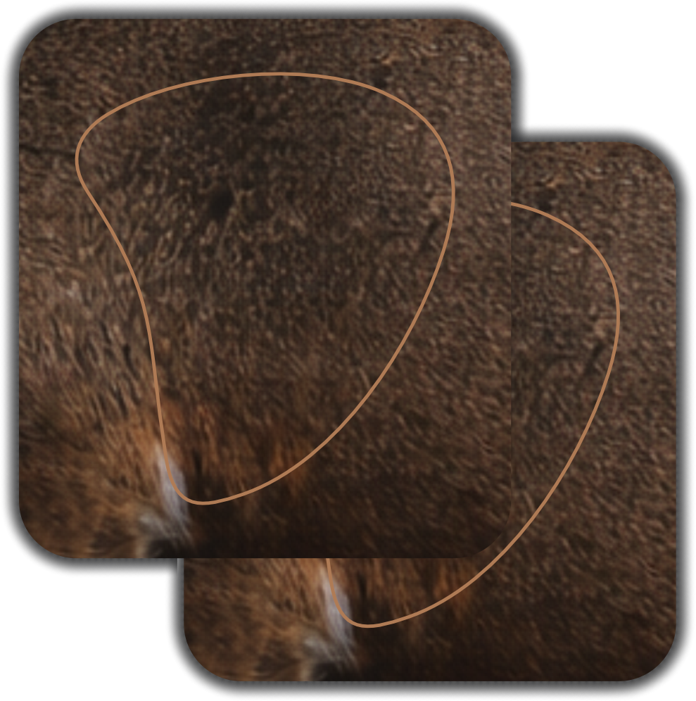 BeeReal Signature Series "Kansas" Whitetail Buck Vital Zones