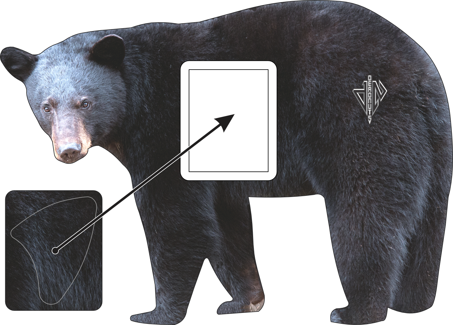 2D Black Bear Broadside Target