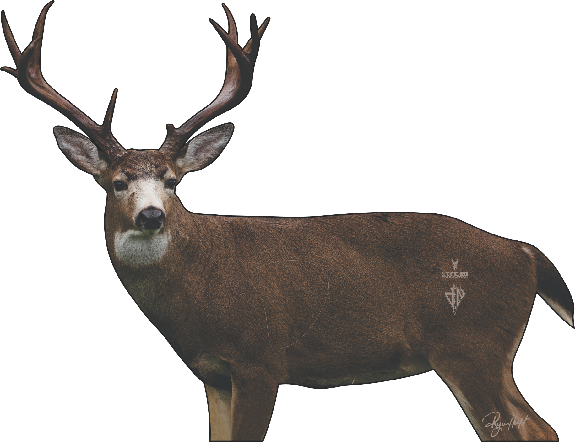 Blacktail Deer Foundation Conservation Series 2D Target 2026