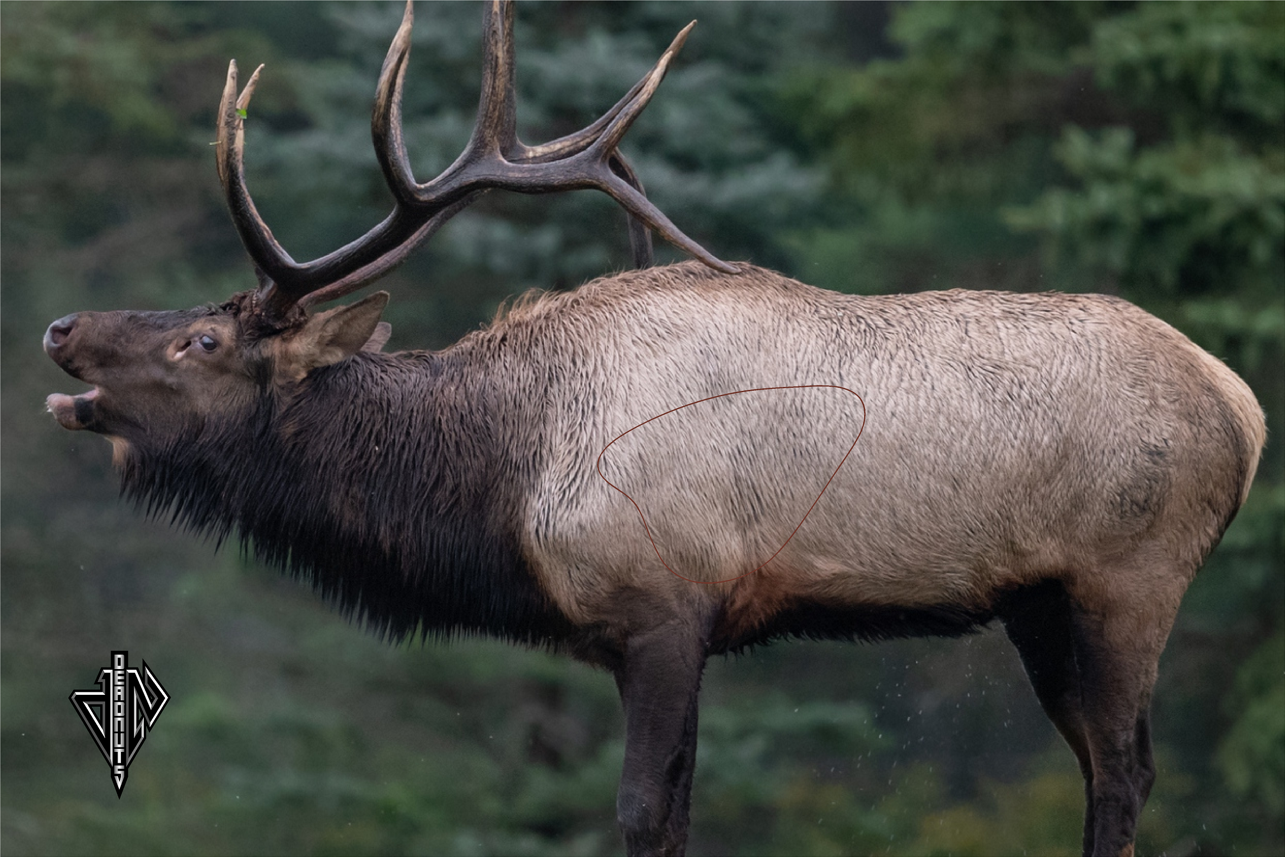 Bull Elk Broadside  Mini Banner