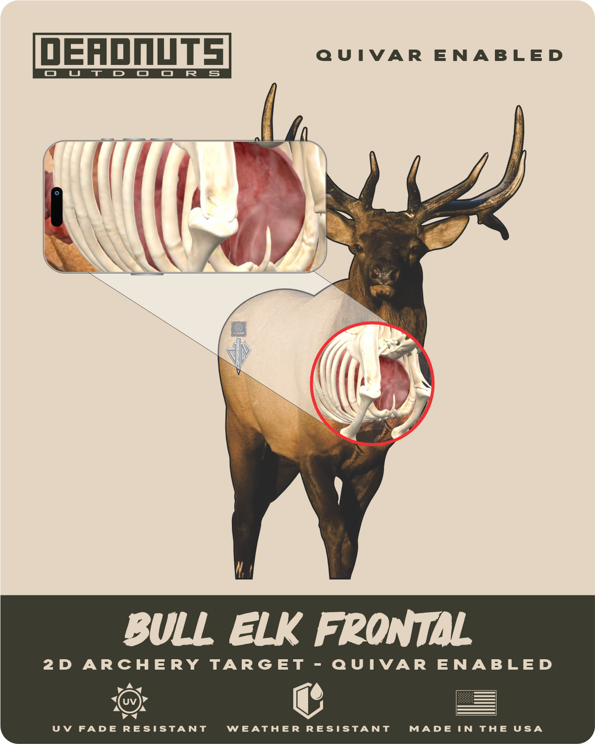 2D Bull Elk Frontal Target