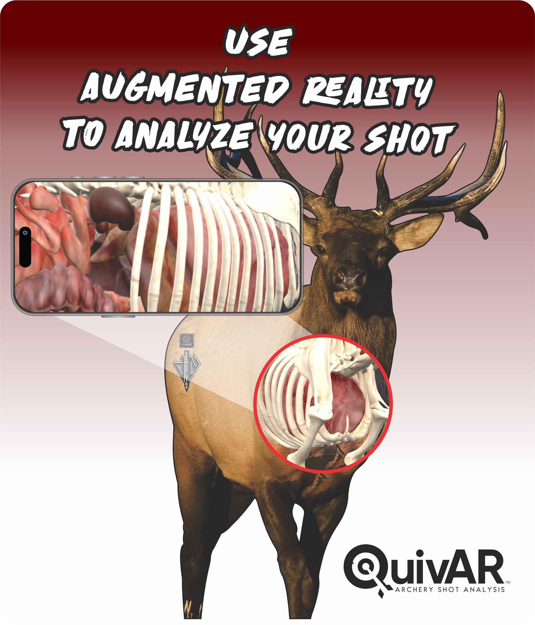 2D Bull Elk Frontal Target