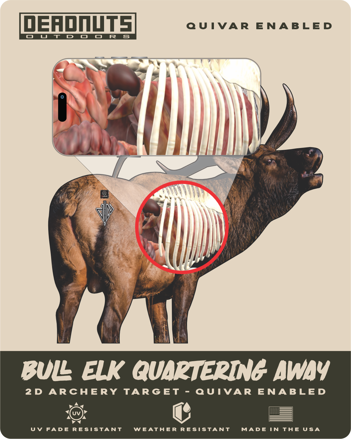 2D Bull Elk Quartering Away Target