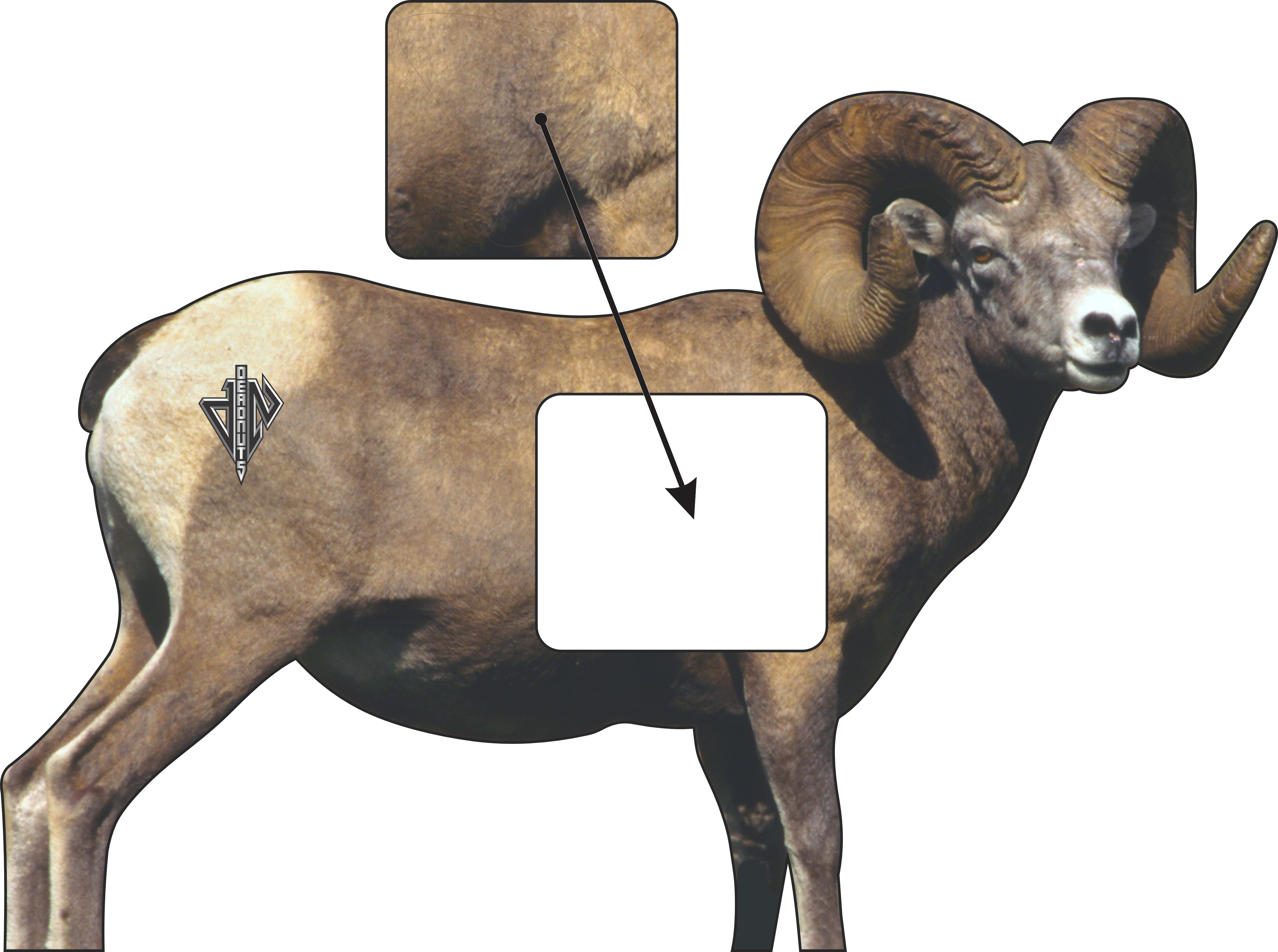 2D Bighorn Broadside Target