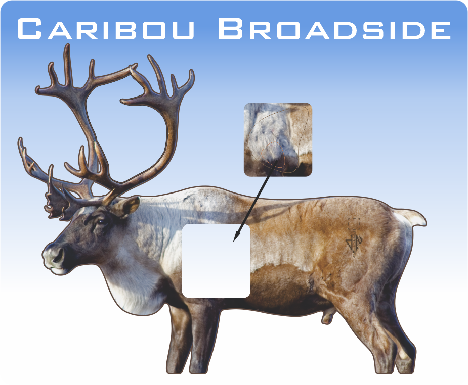 2D Caribou Broadside Target