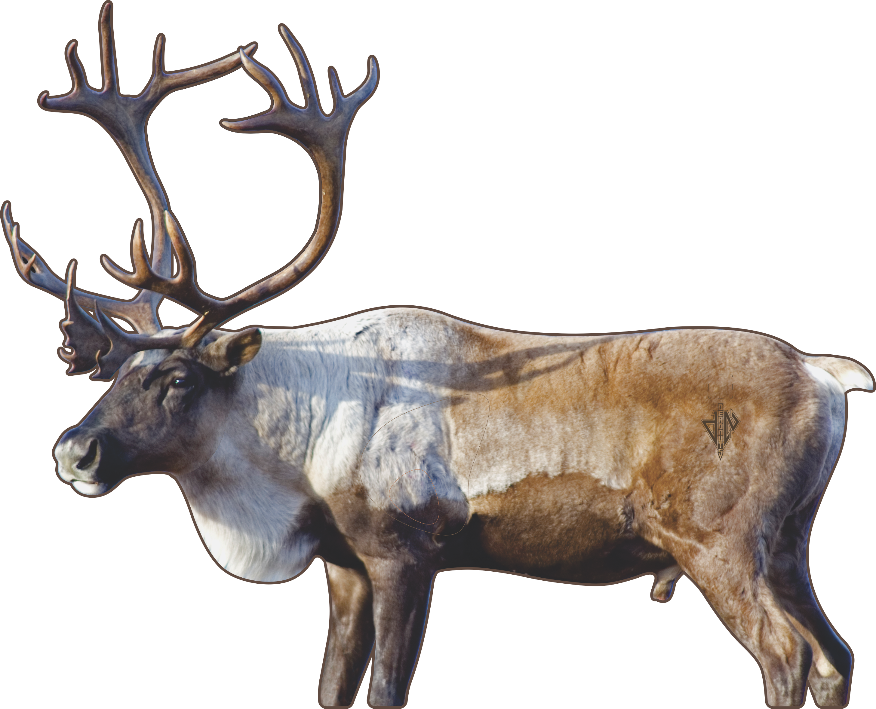 2D Caribou Broadside Target