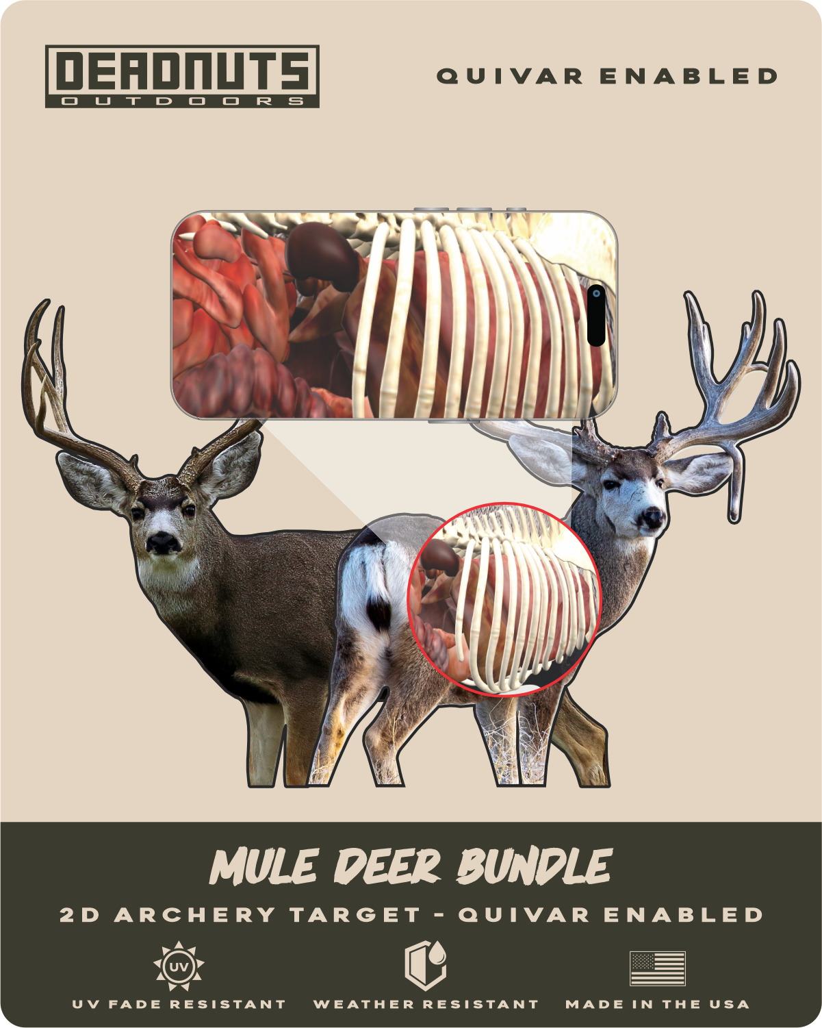Mule Deer Bundle (Broadside Mule Deer, Quartering Away Mule Deer)
