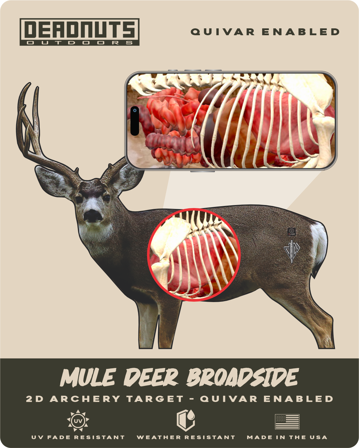 2D Mule Deer Broadside Target