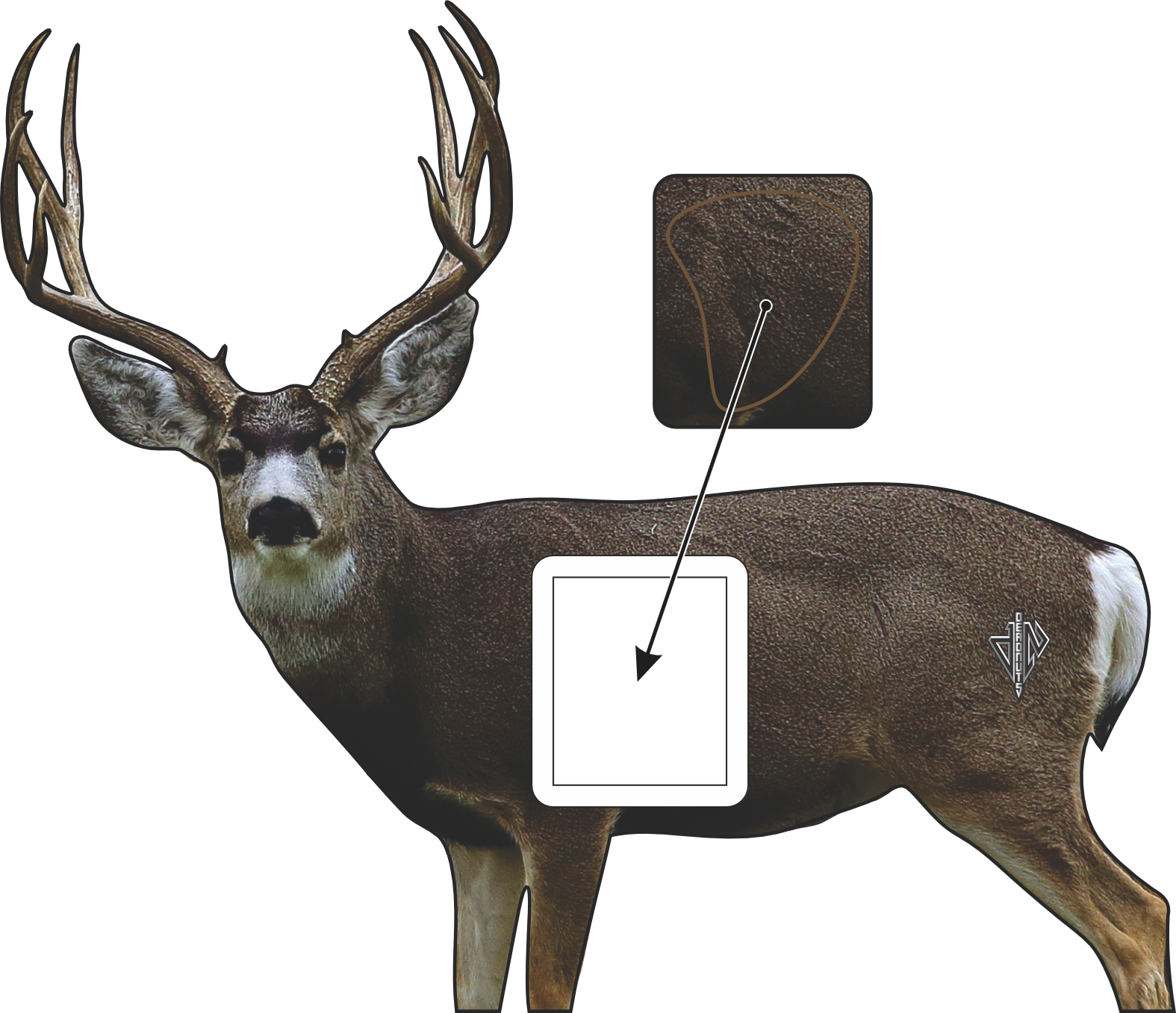 2D Mule Deer Broadside Target