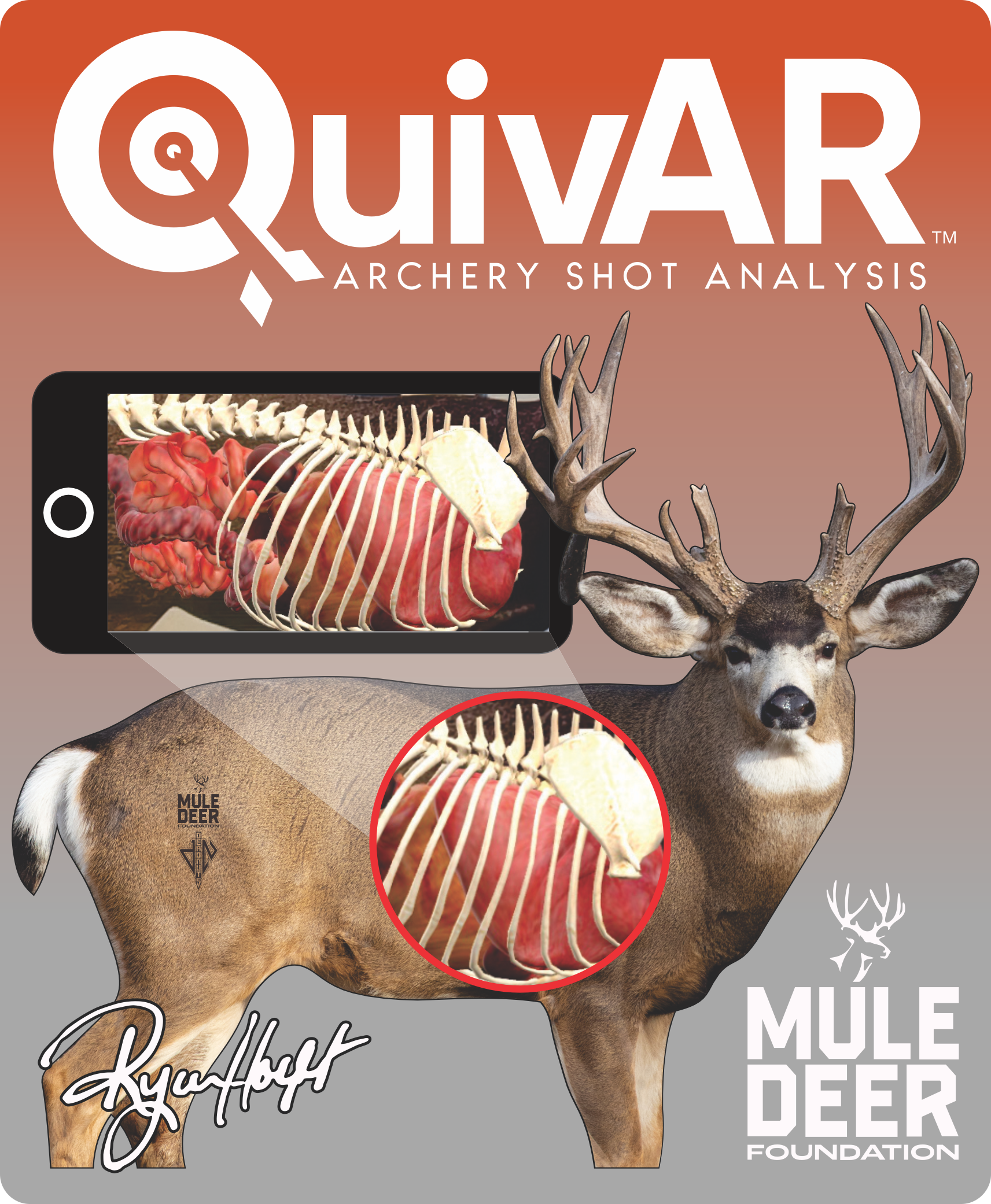 Mule Deer Foundation Conservation Series 2D Target 2026