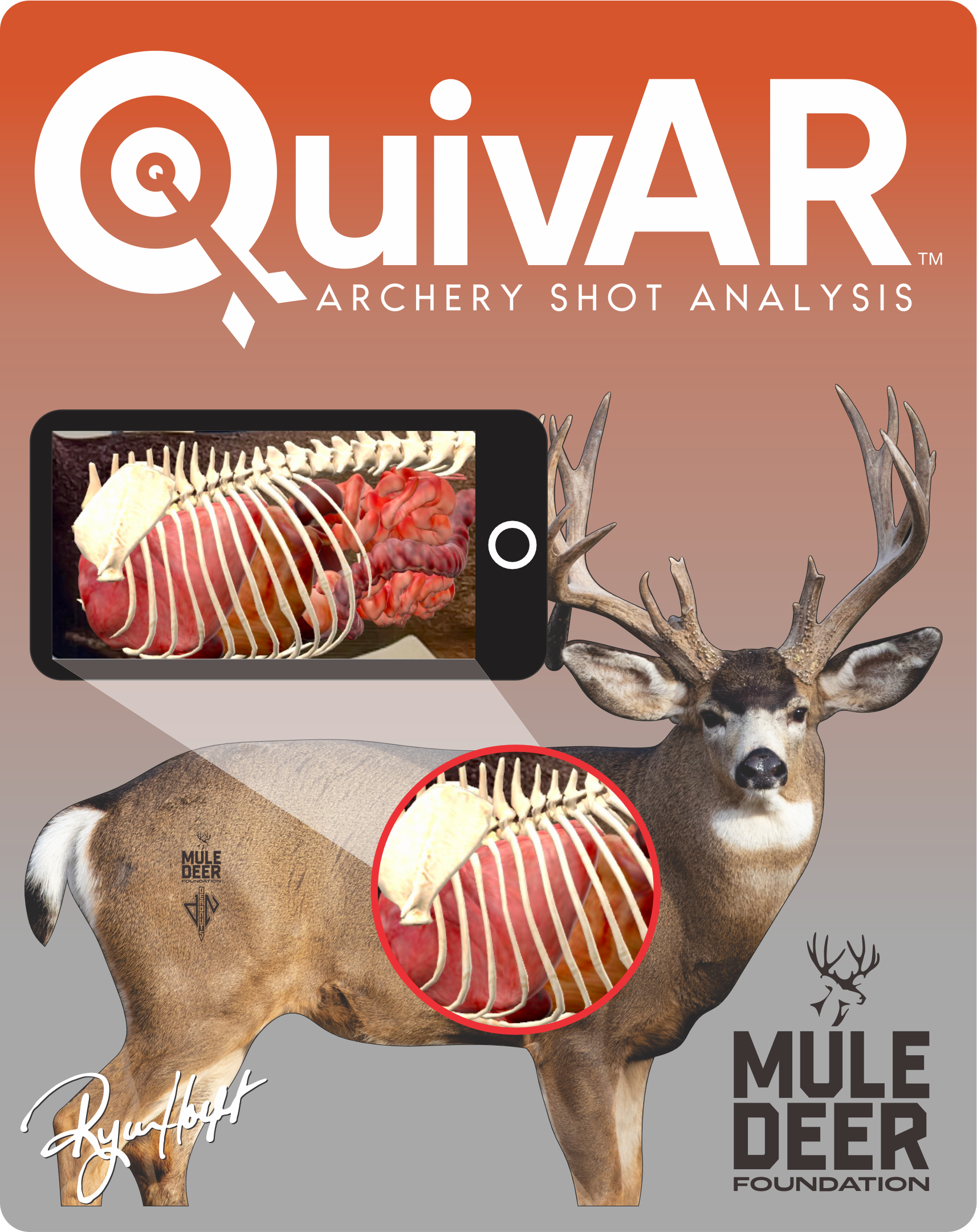 Mule Deer Foundation Conservation Series 2D Target 2026