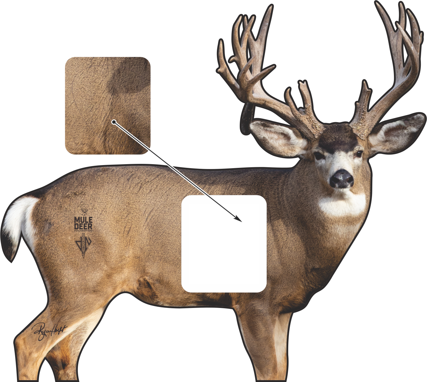 Mule Deer Foundation Conservation Series 2D Target 2026