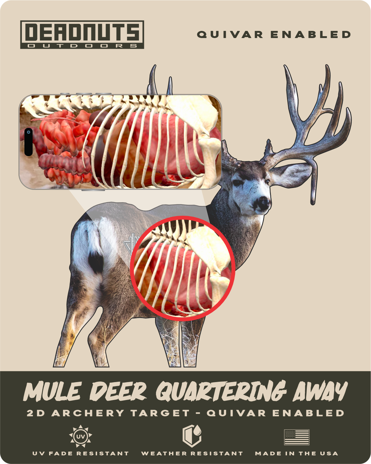 2D Mule Deer Quartering Away Target
