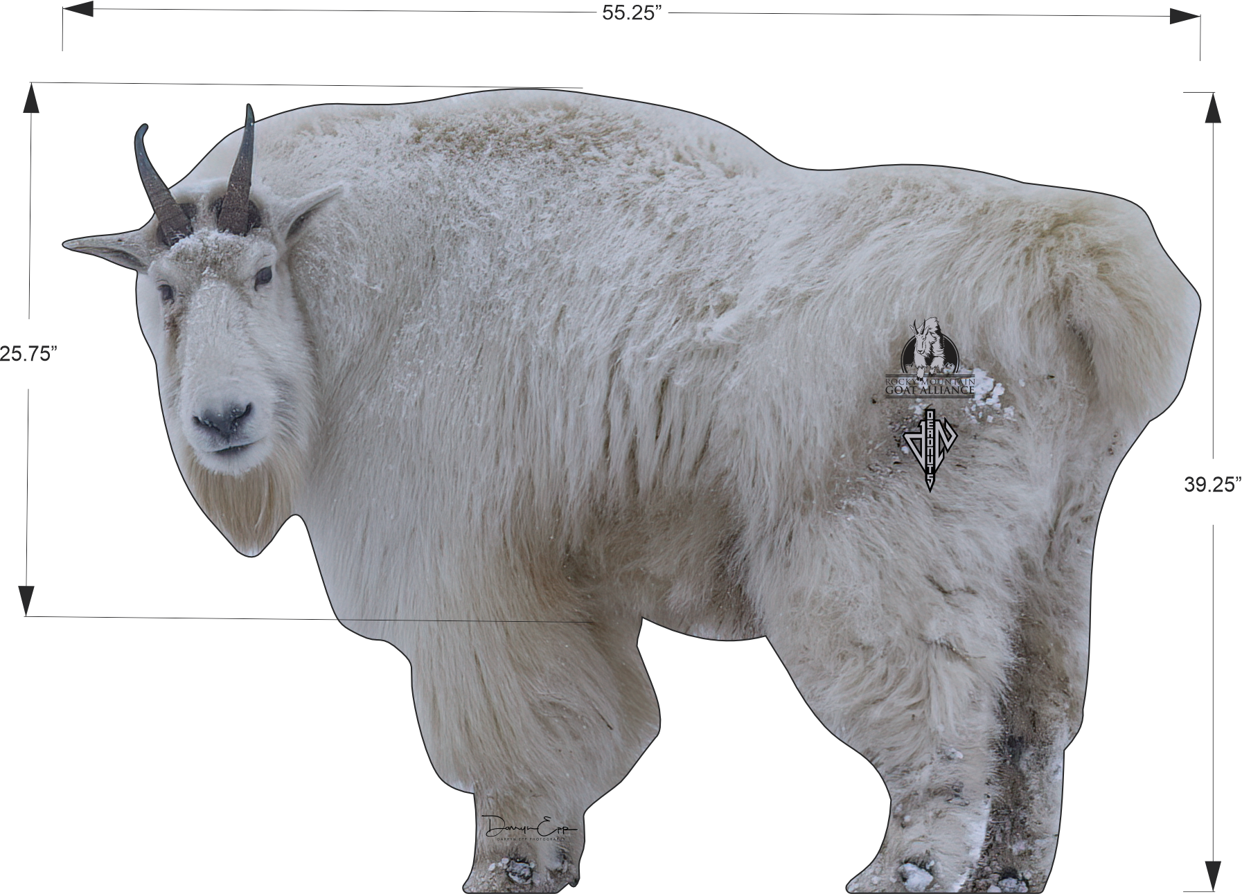 Rocky Mountain Goat Alliance Conservation Series 2D Target