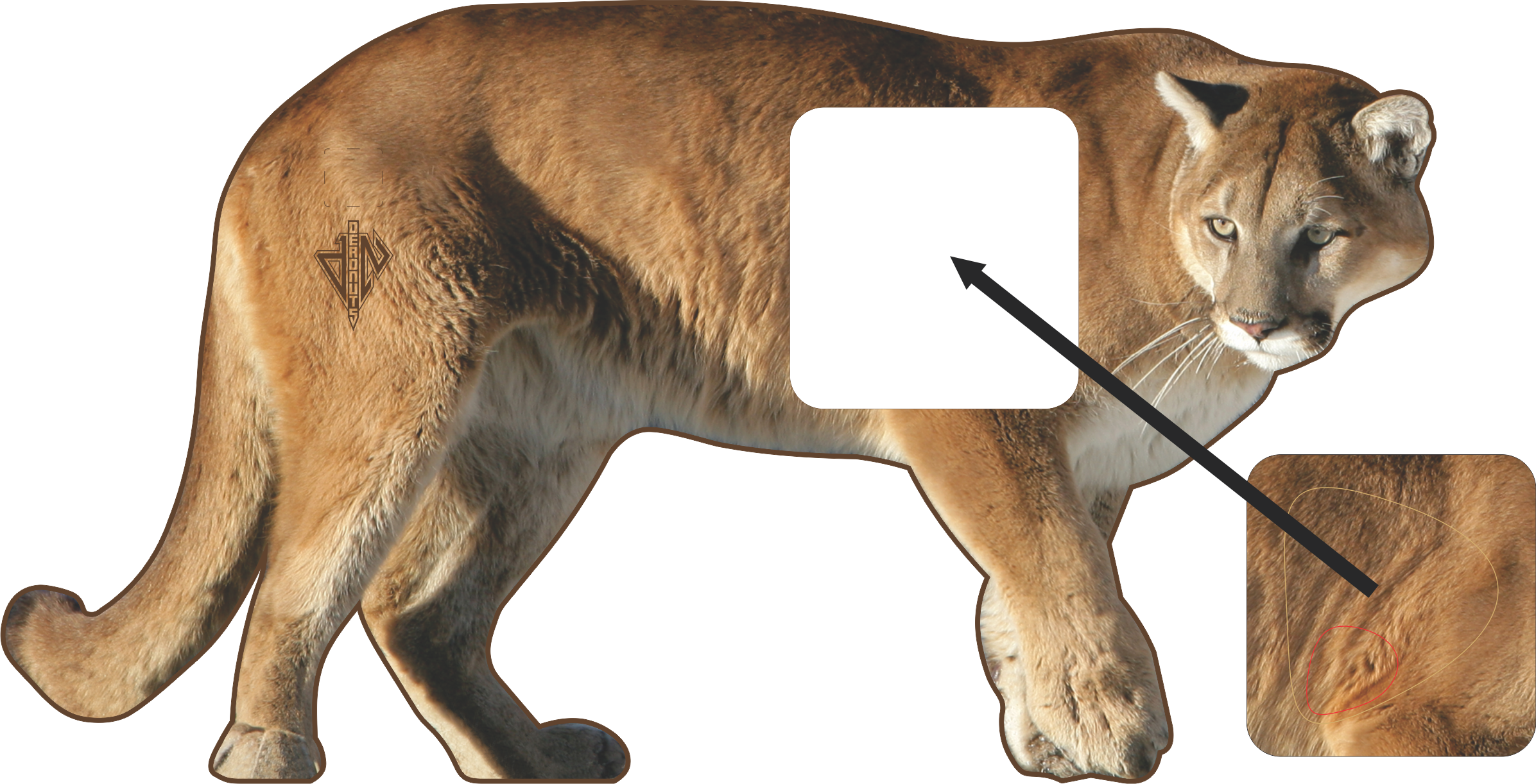 2D Mountain Lion Broadside Target