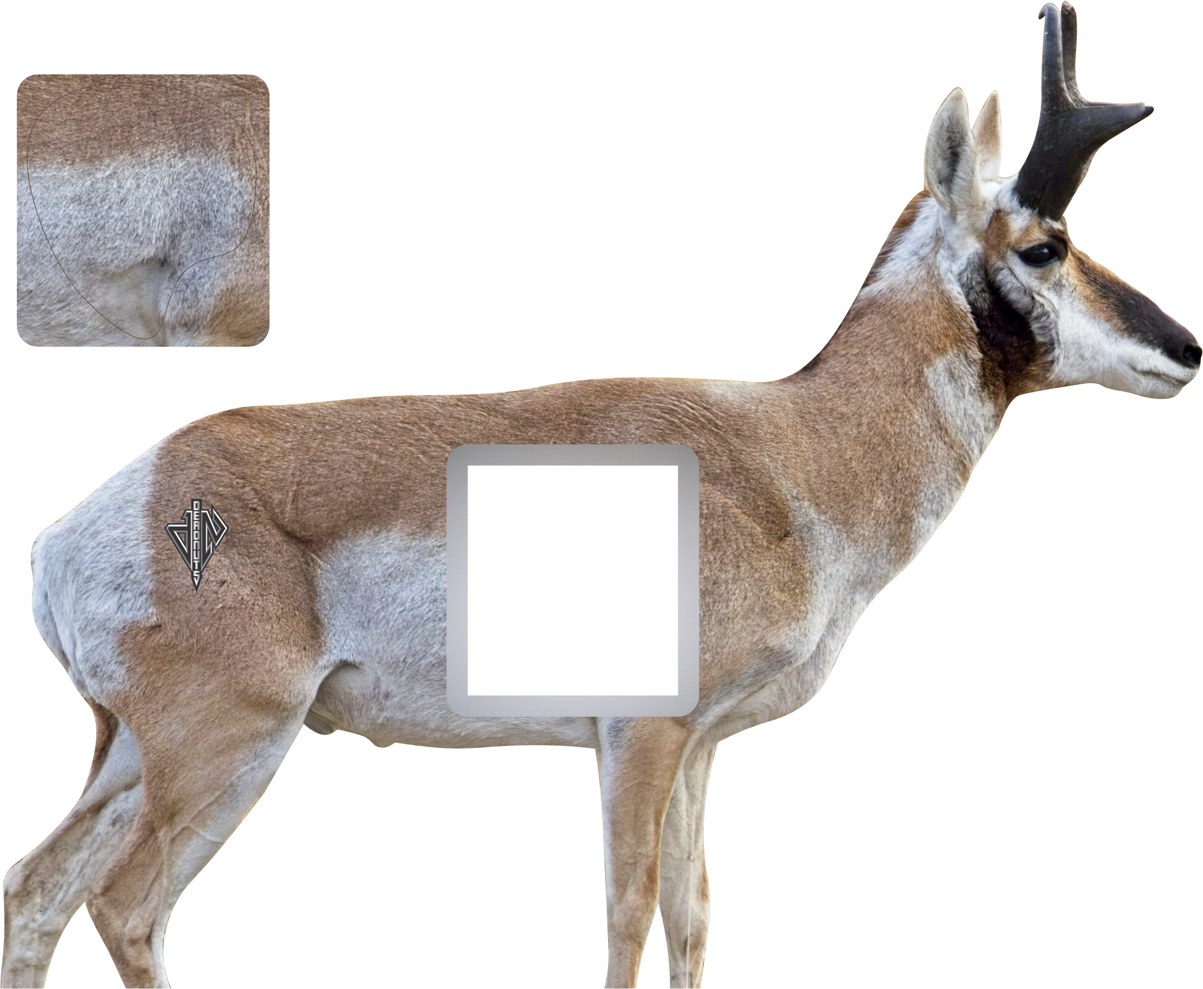 Western Bundle (Elk, Mule Deer, Antelope)
