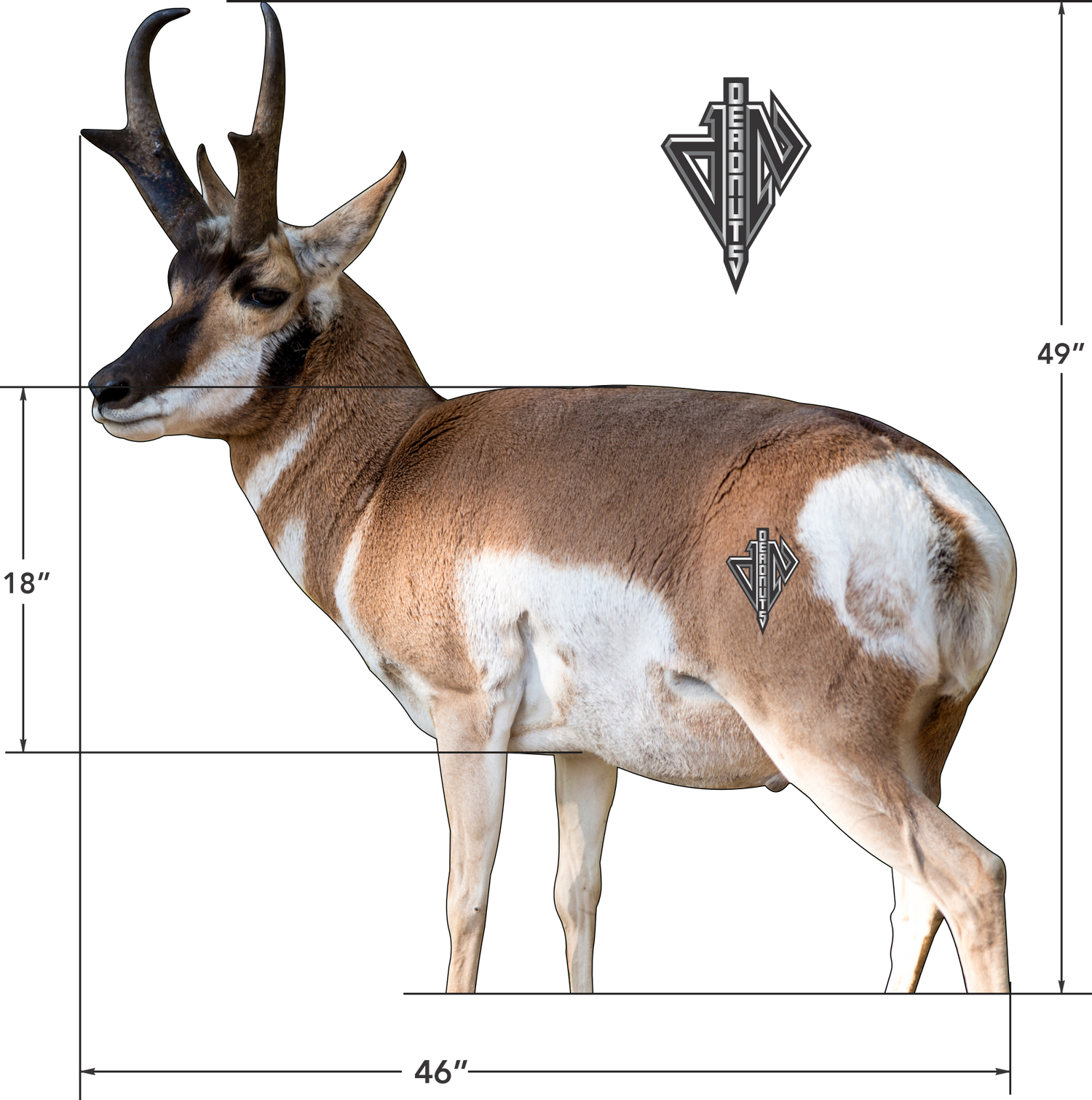 2D Quartering Away Pronghorn Buck