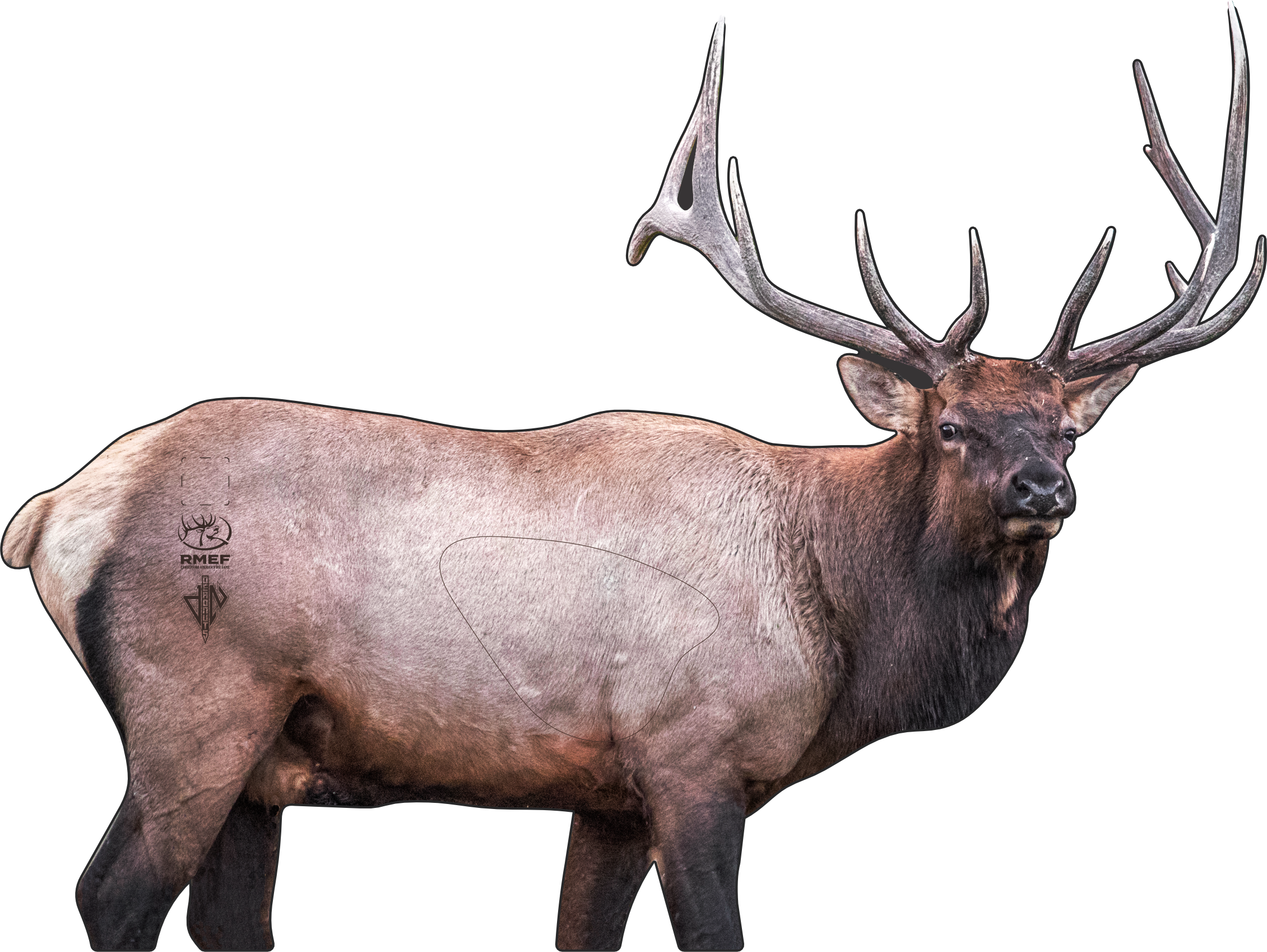 RMEF Basecamp Elk