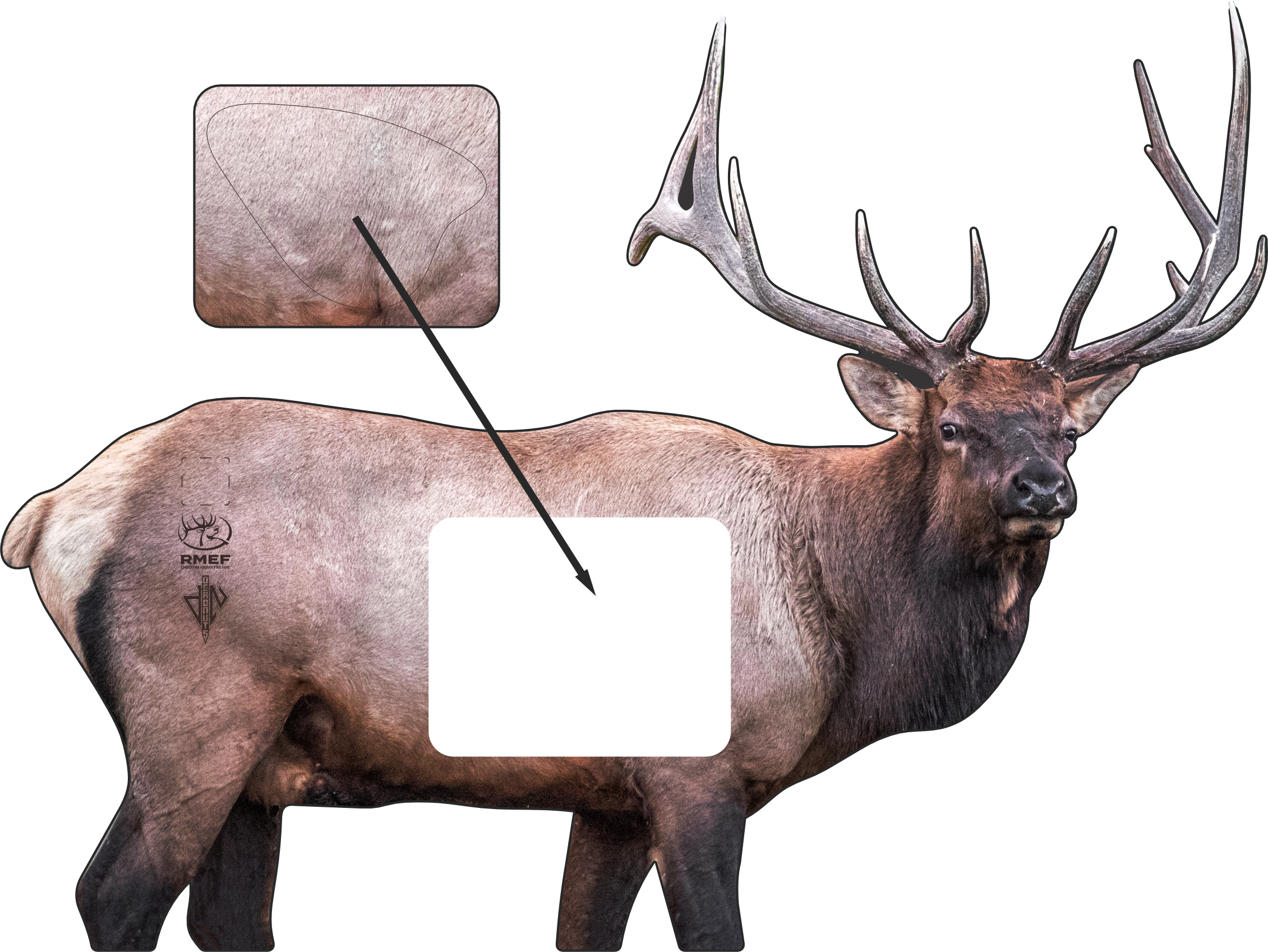 RMEF Basecamp Elk