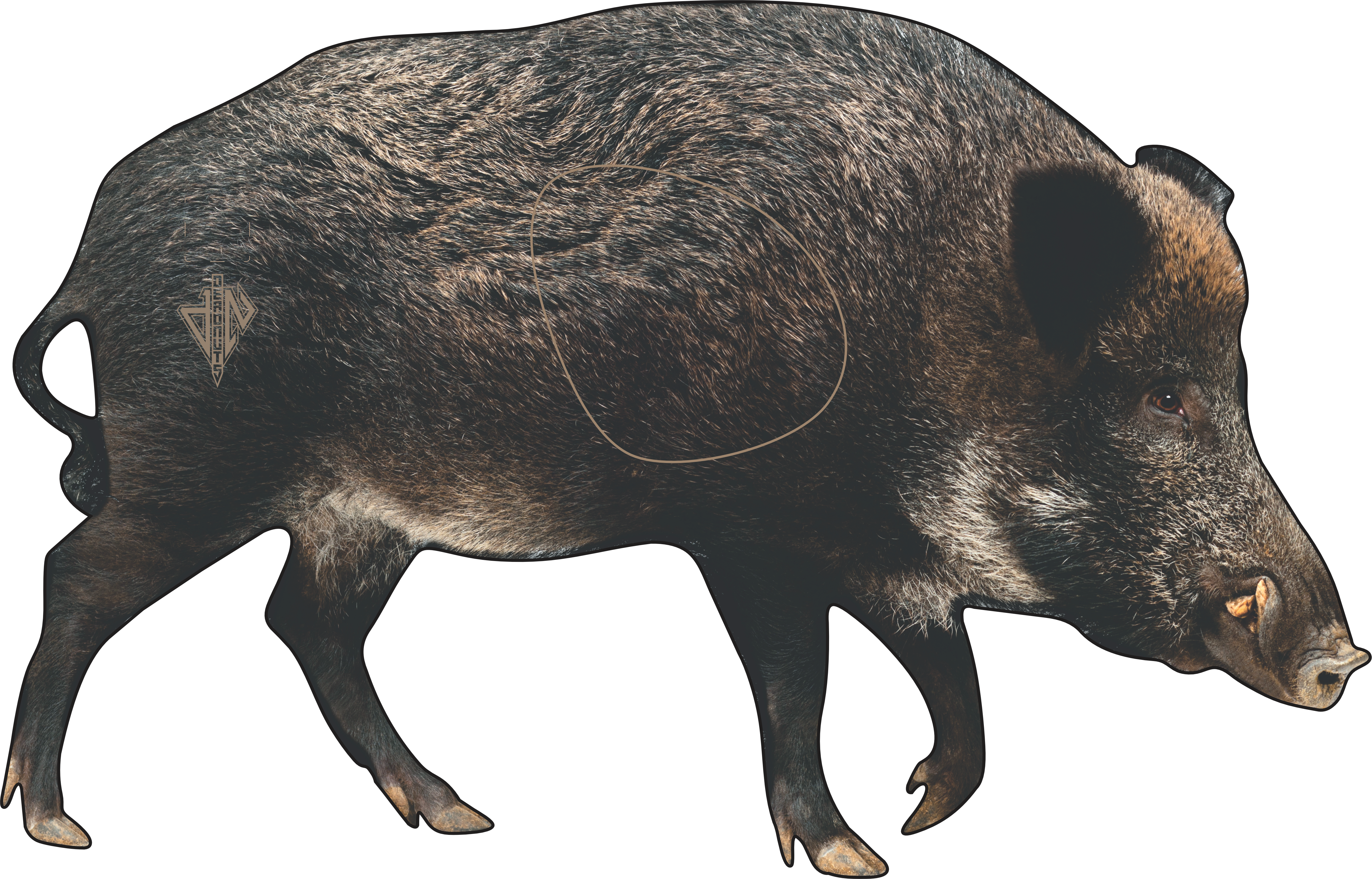 2D Wild Boar Broadside Target