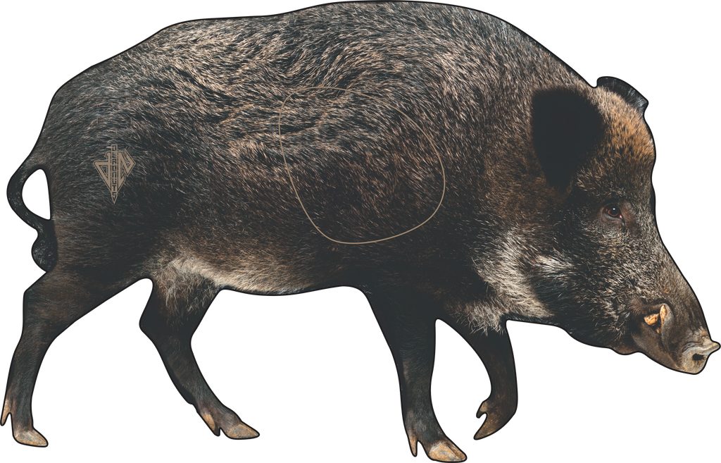 2D Wild Boar Broadside Target