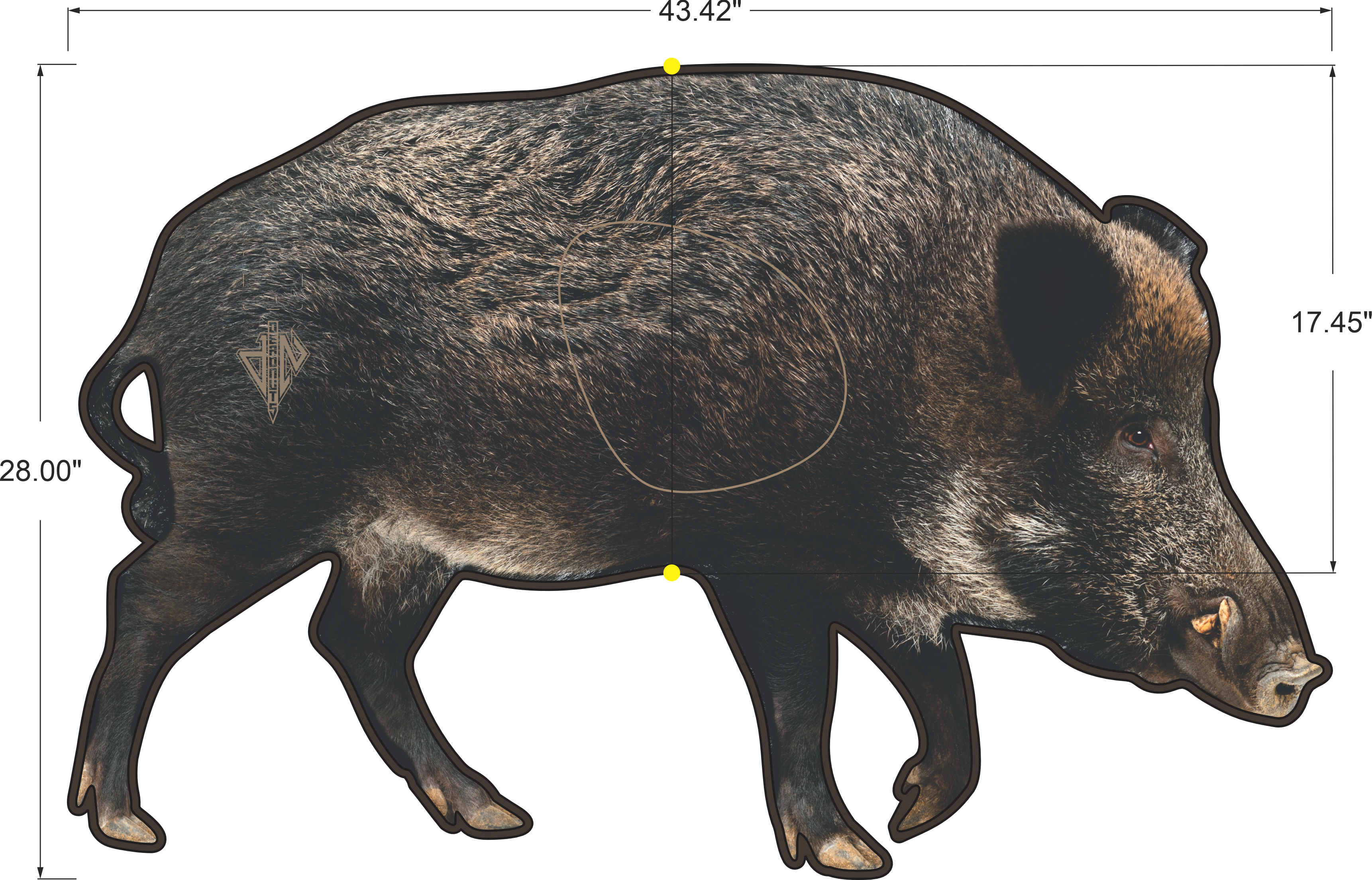 2D Wild Boar Broadside Target