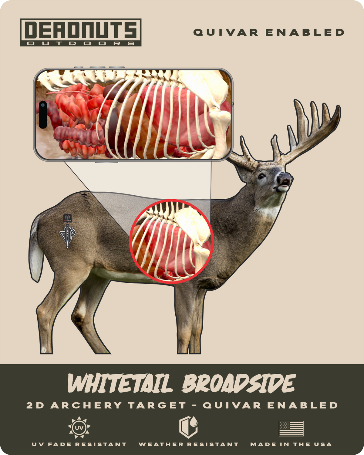 2D Whitetail Broadside Target