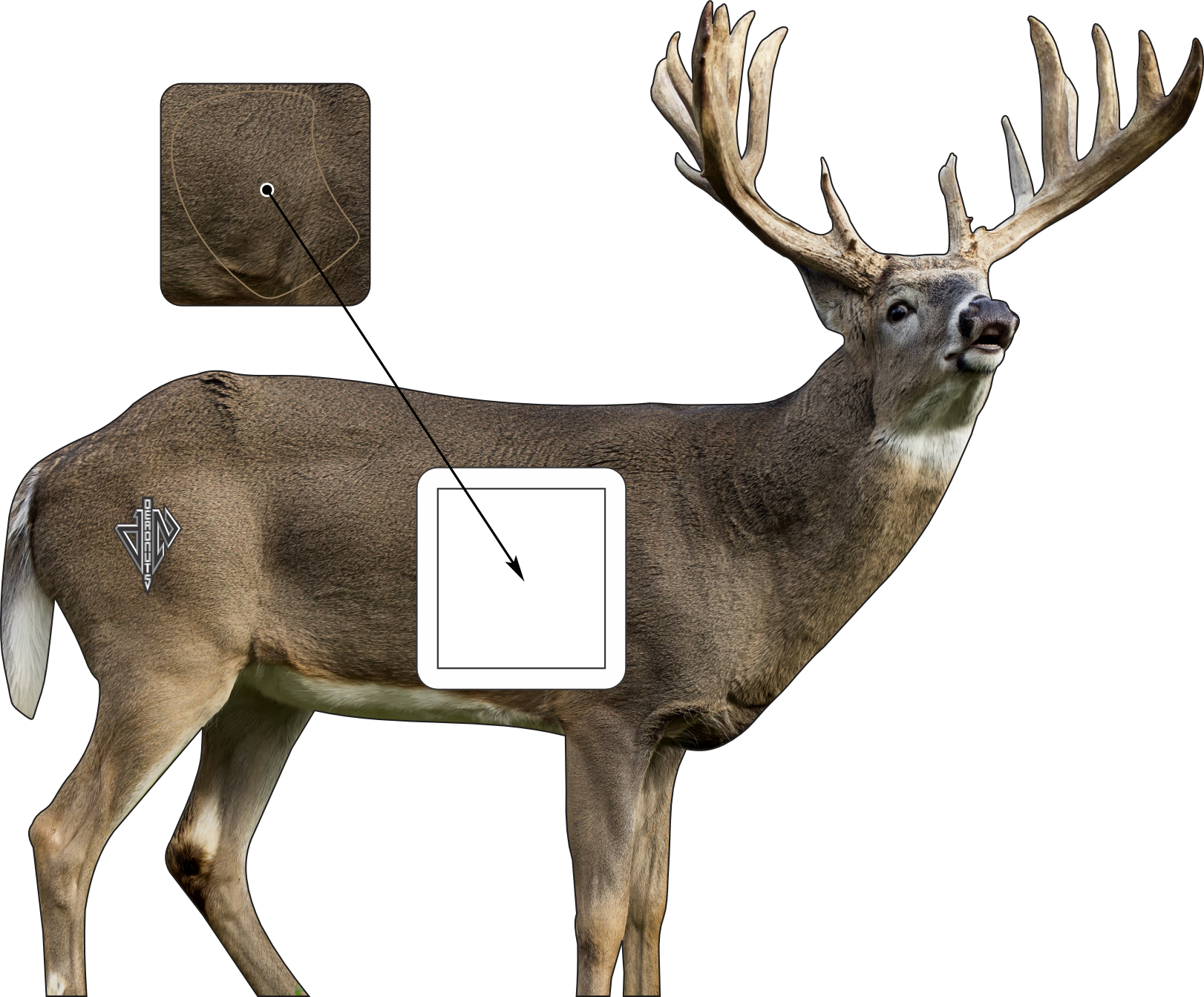 2D Whitetail Broadside Target