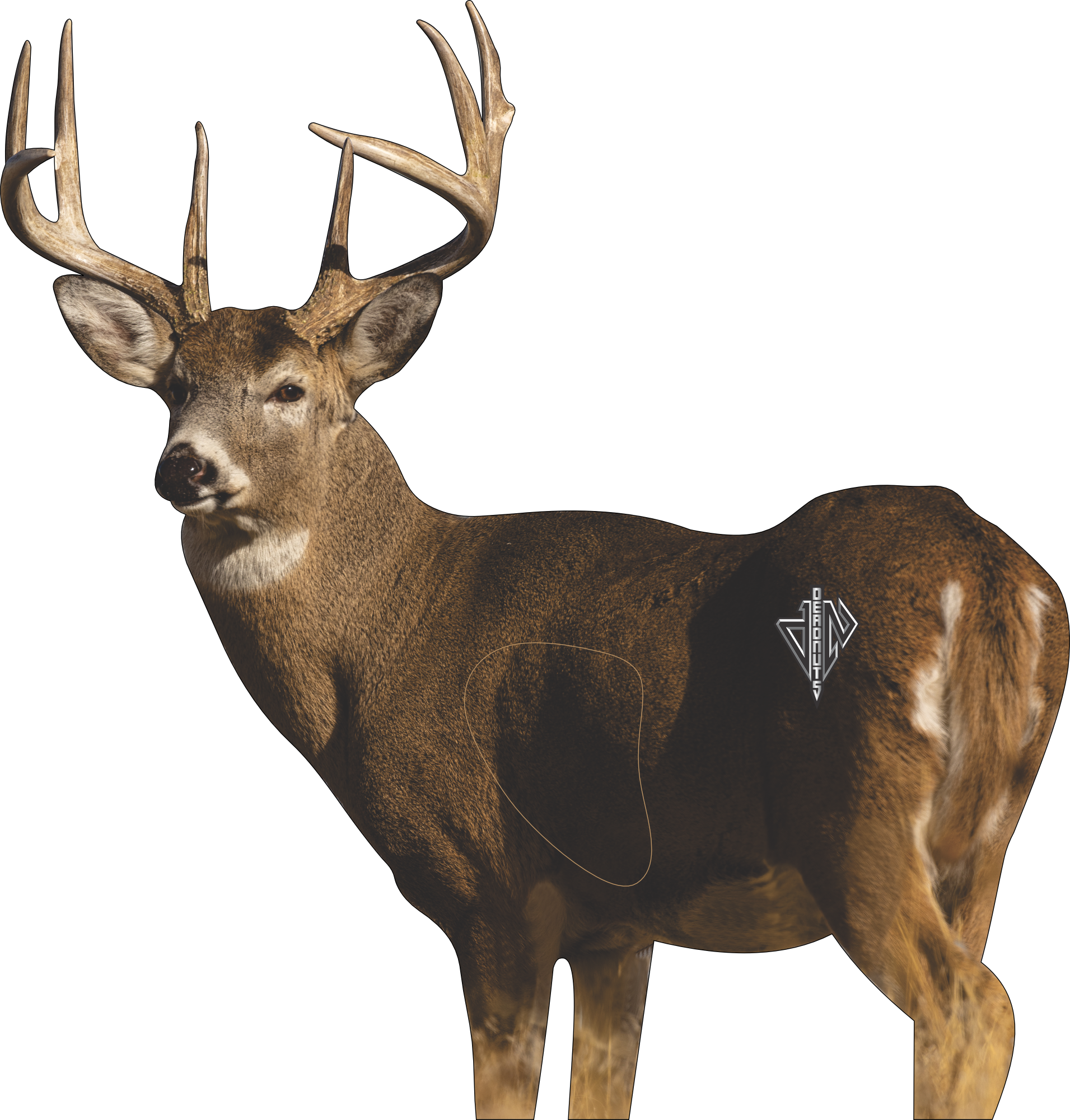 Whitetail "Willy" Bundle