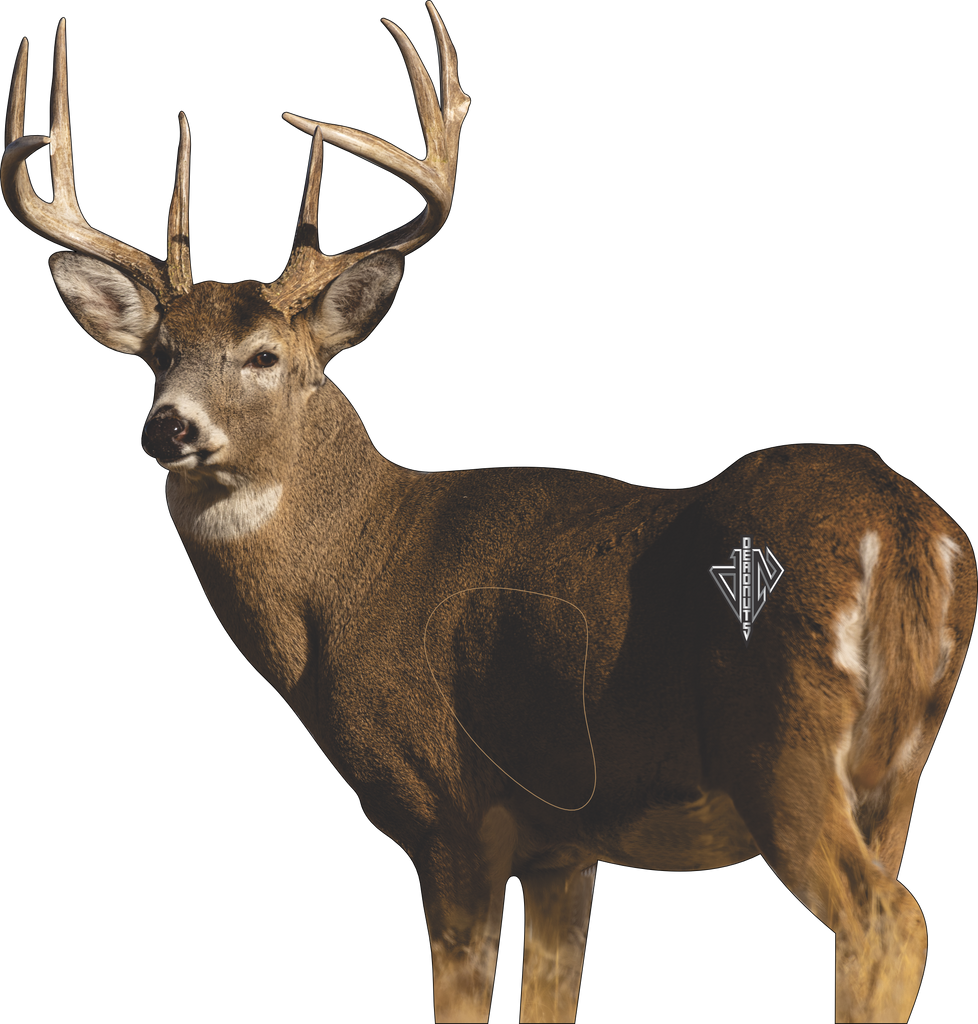 2d Whitetail 