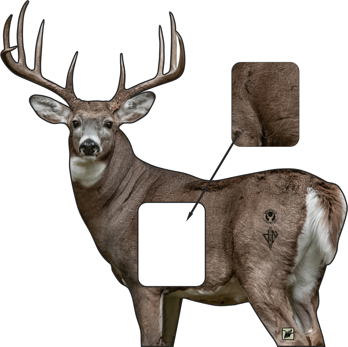 Whitetails Unlimited Conservation Series Target 2026