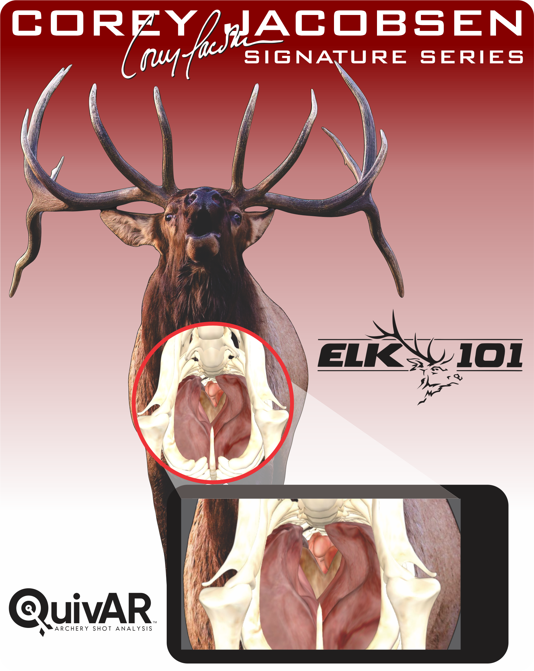 Elk 101 Signature Series Bull Elk