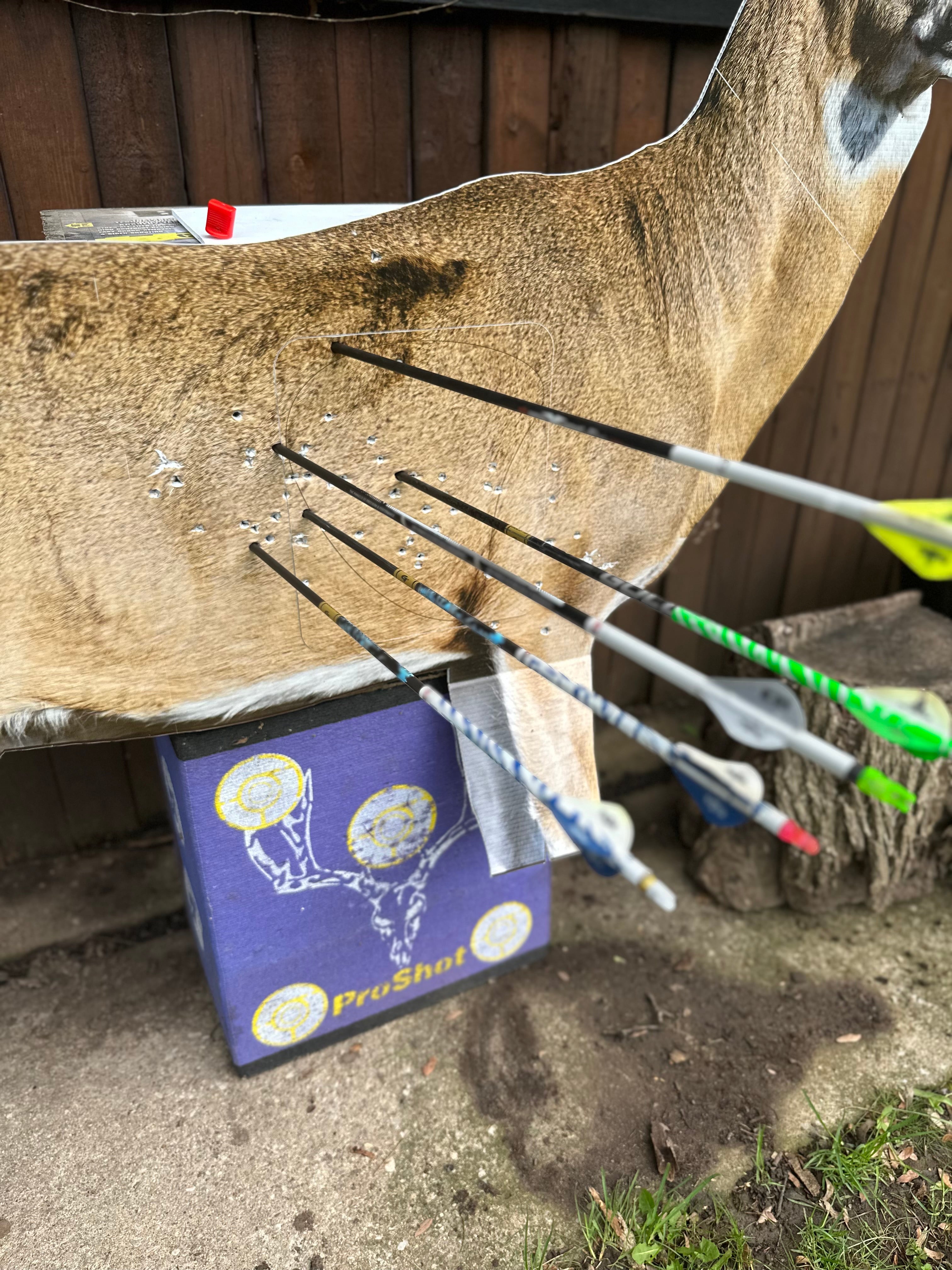 2D Whitetail "Willy" Broadside Target
