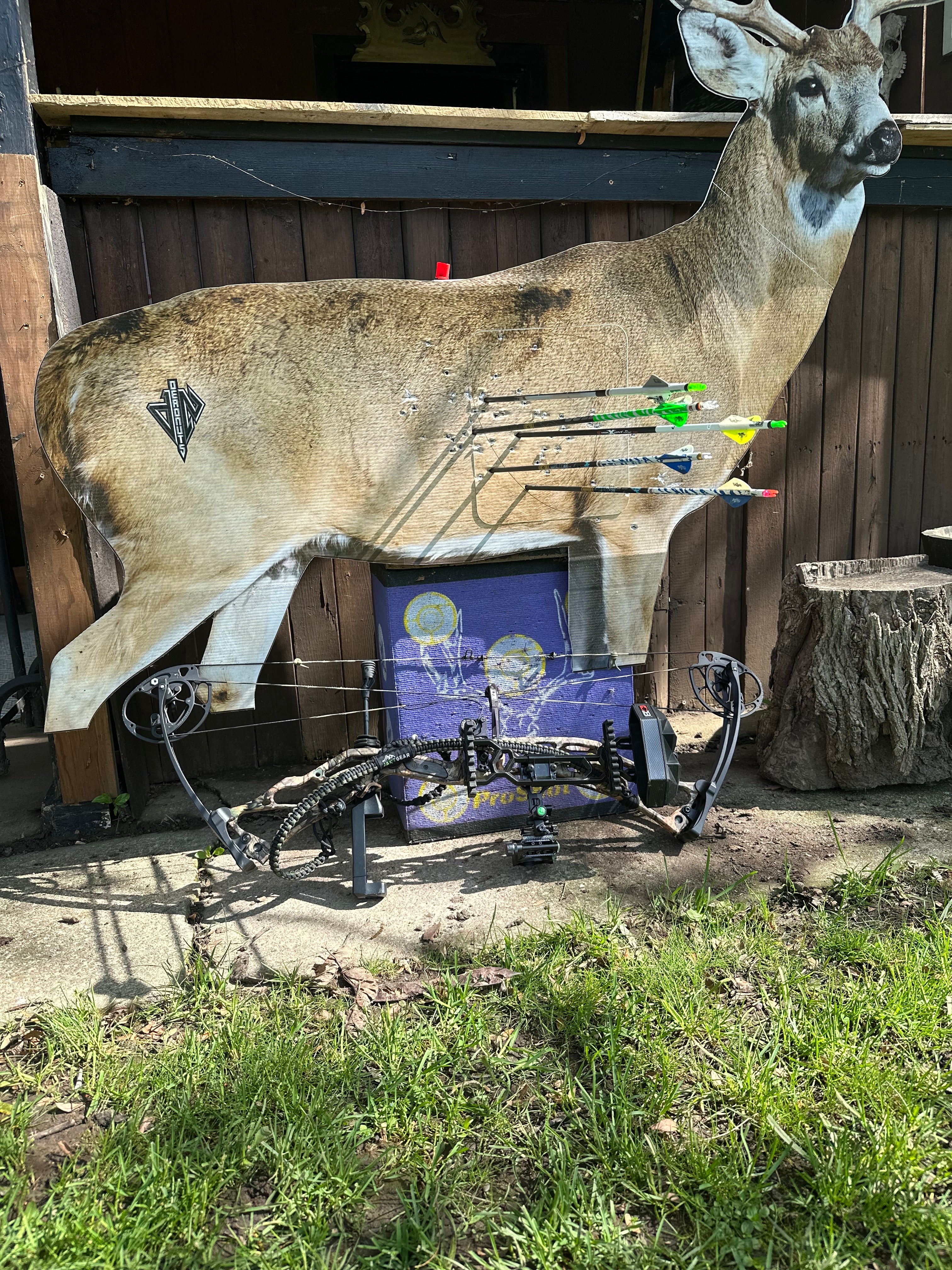 2D Whitetail "Willy" Broadside Target
