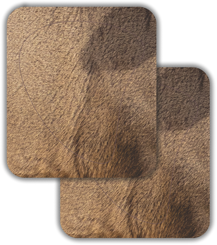 2D MDF Replacement Vital Zones 2026