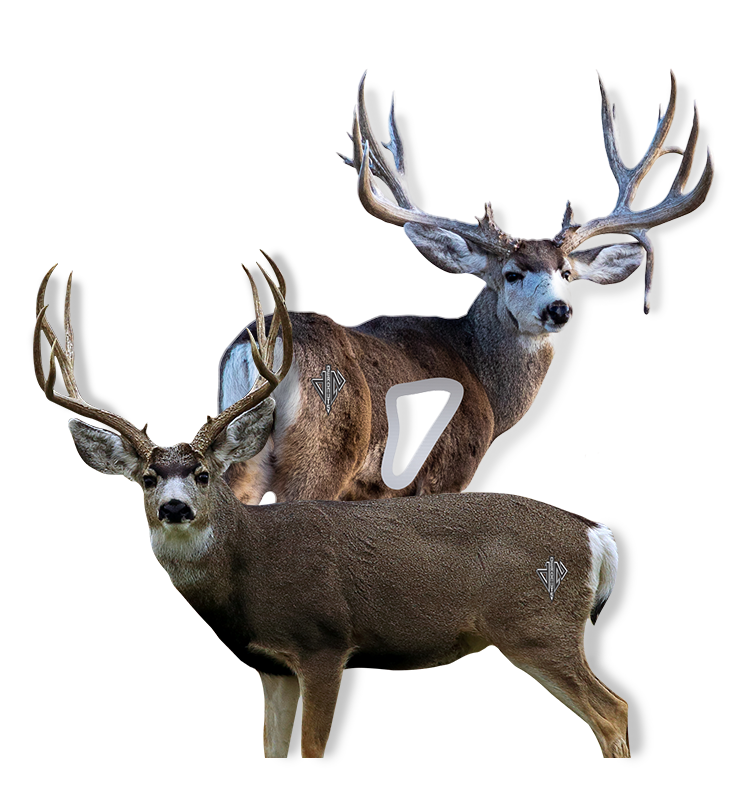 Mule Deer Bundle (Broadside Mule Deer, Quartering Away Mule Deer)