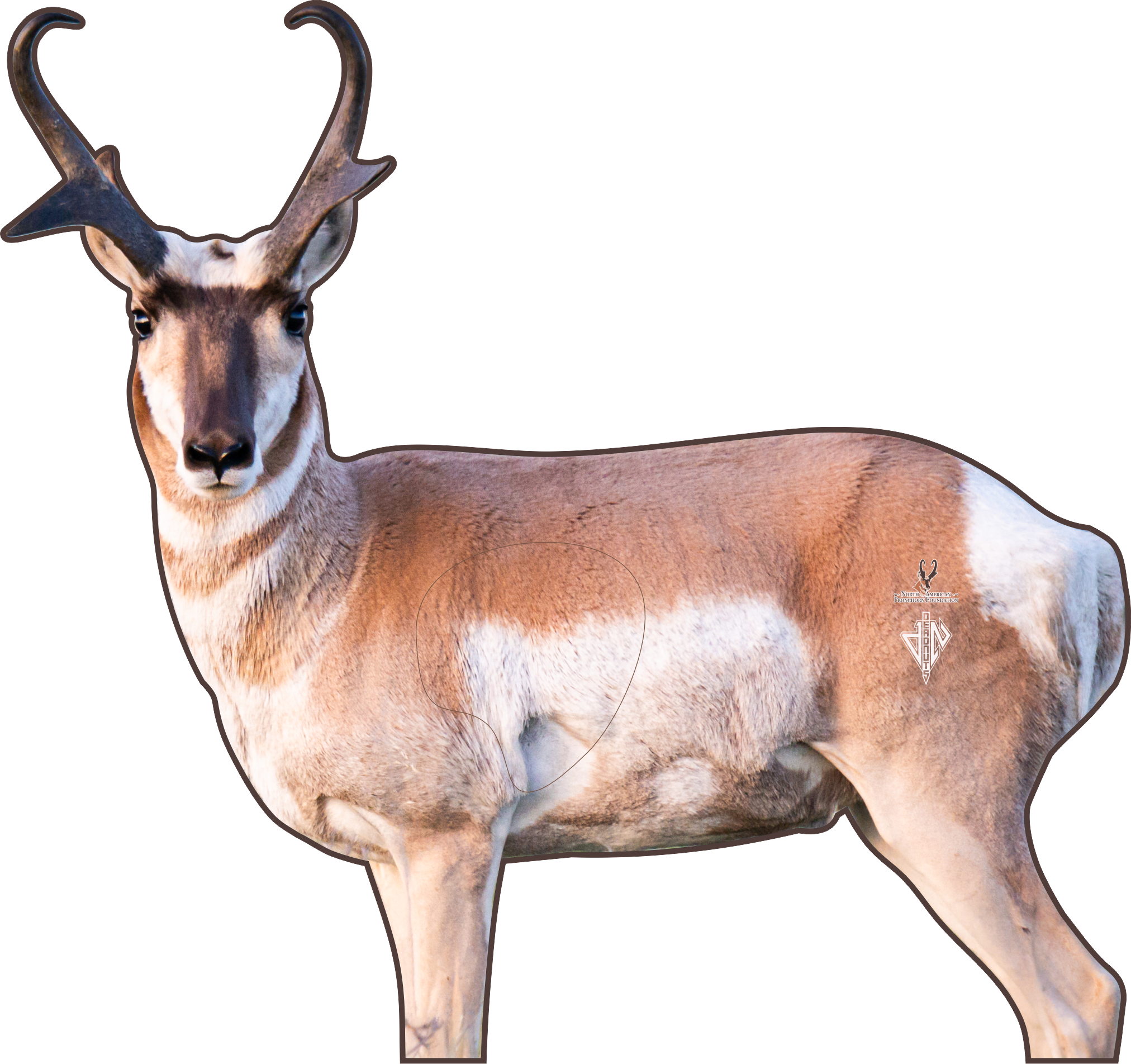 North American Pronghorn Foundation 2D Broadside Pronghorn Conservation Series Target