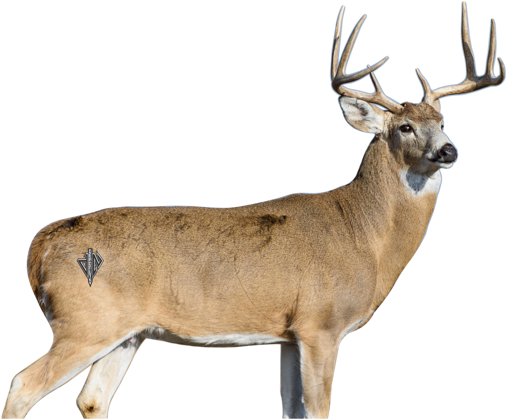 2D Whitetail 