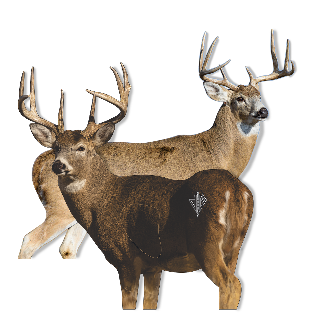 Whitetail "Willy" Bundle