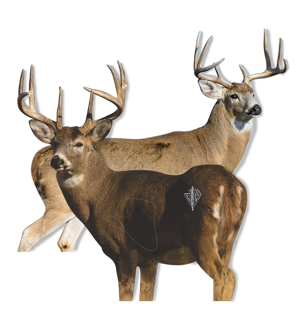 Whitetail 