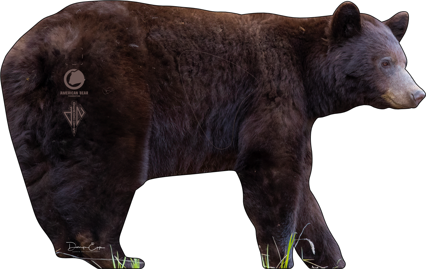 American Bear Foundation Conservation Series 2D Target